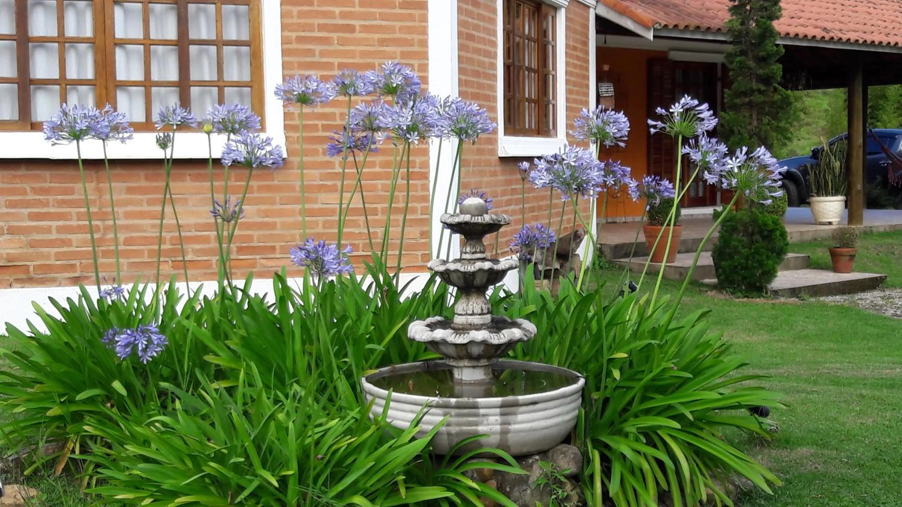 Garden in Toca - Bairro Serrano