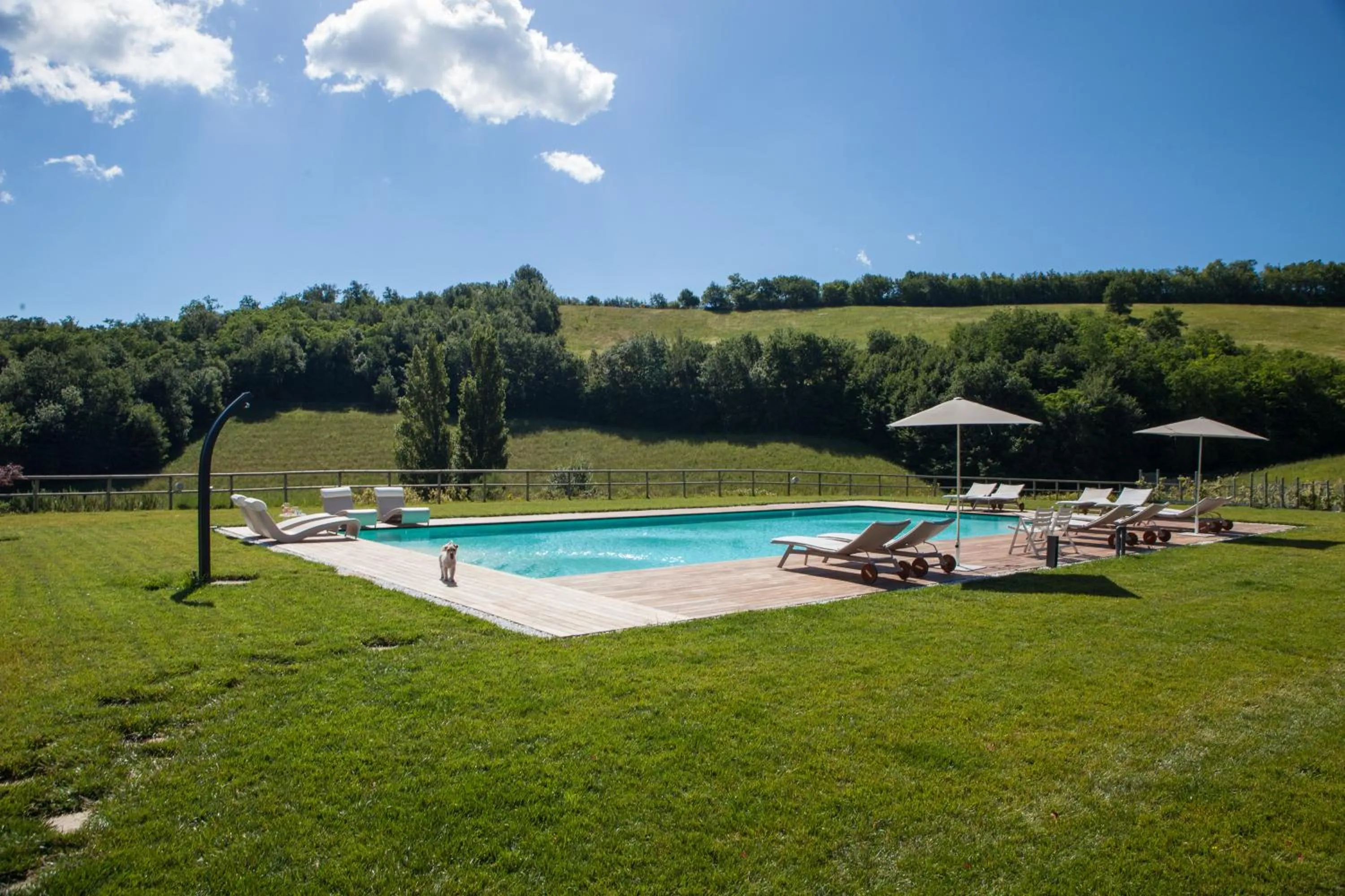 Garden in Agriturismo Colle Casini Cortesi