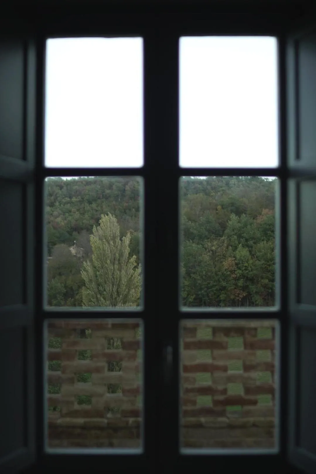 Natural landscape in Agriturismo Colle Casini Cortesi