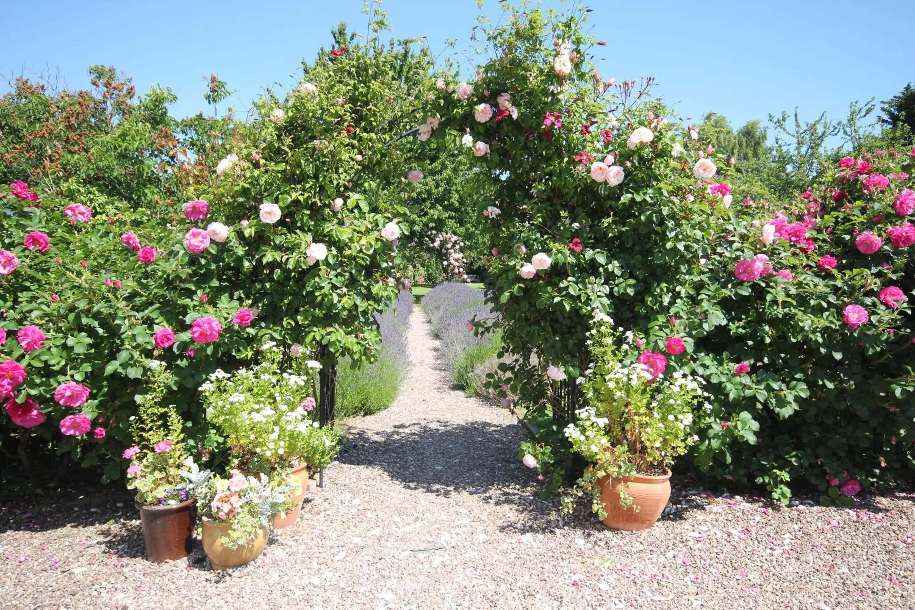 Garden in The Old House