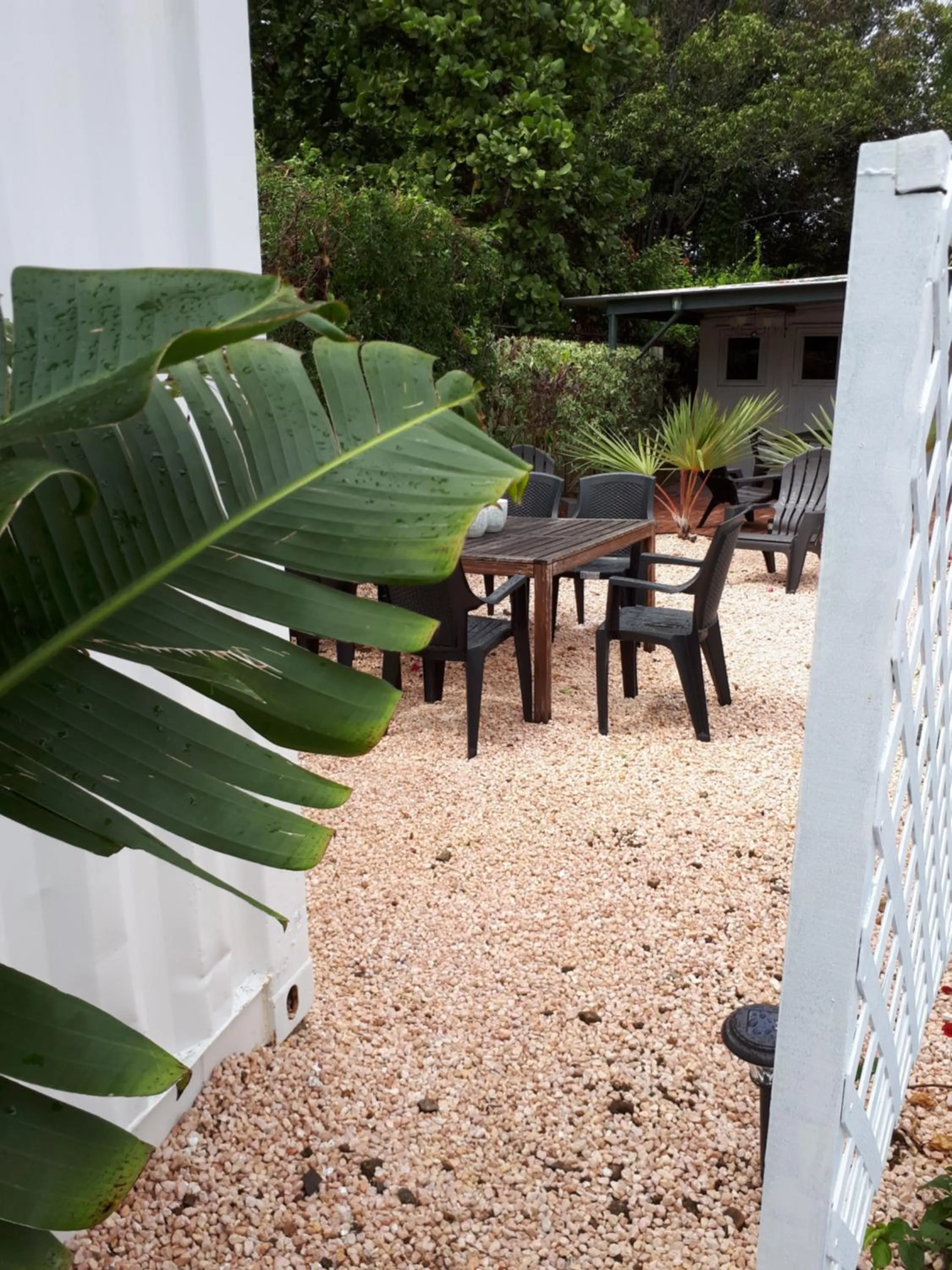 Palm Trees Apartments