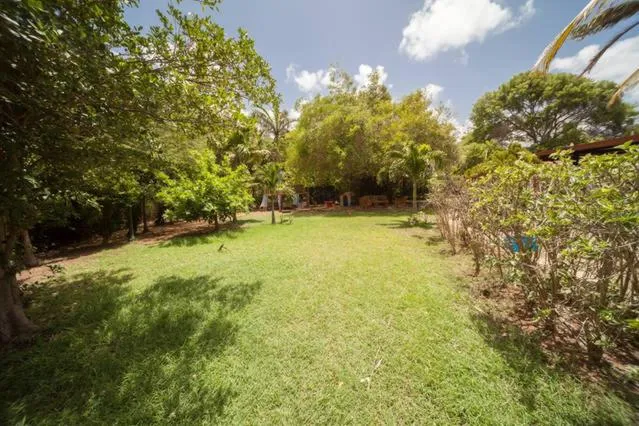 Garden in Palm Trees Apartments