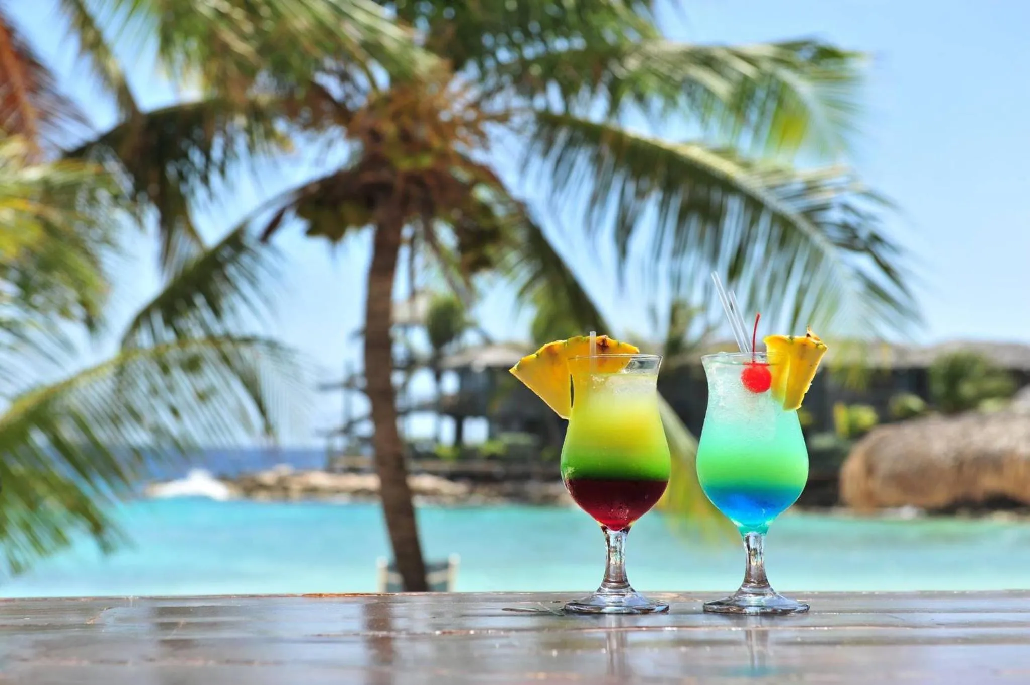 Drinks in Palm Trees Apartments