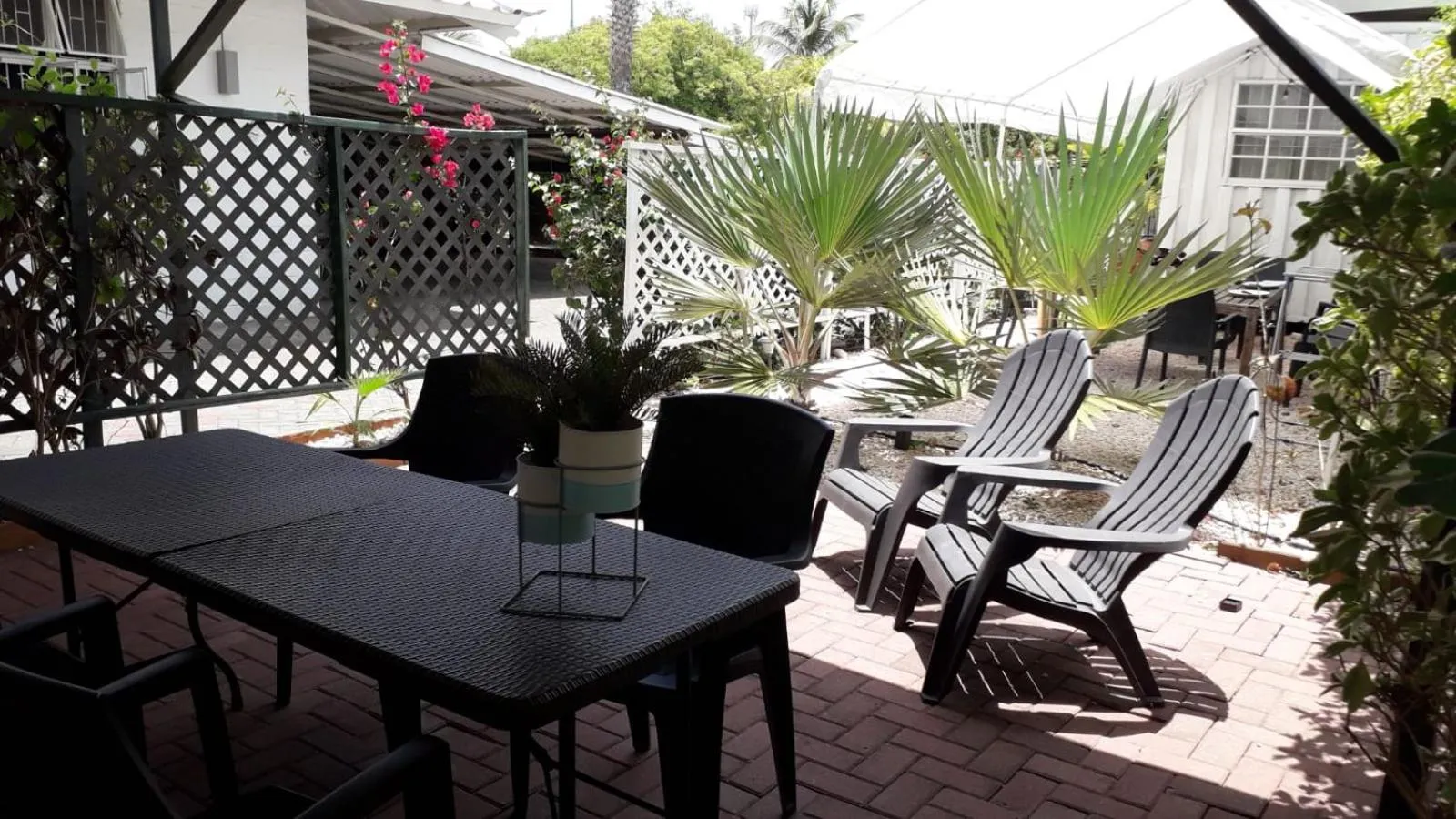 Palm Trees Apartments