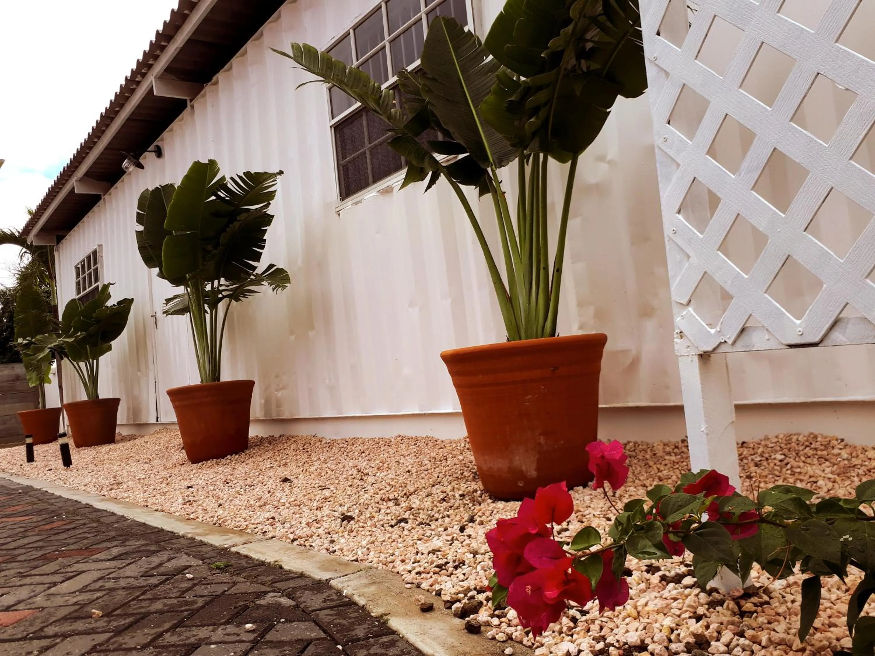 Palm Trees Apartments