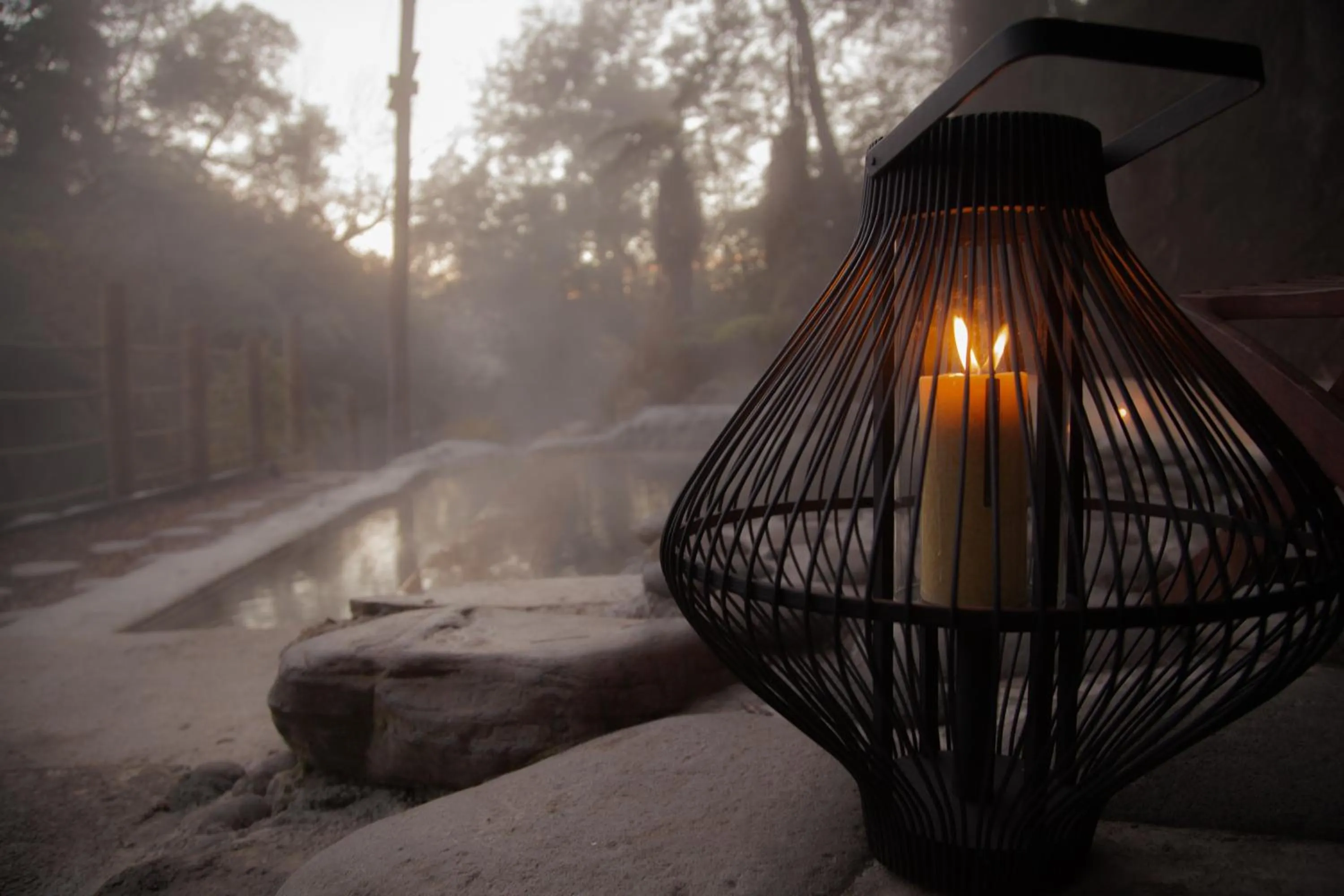 Activities in Okoroire Hot Springs Hotel