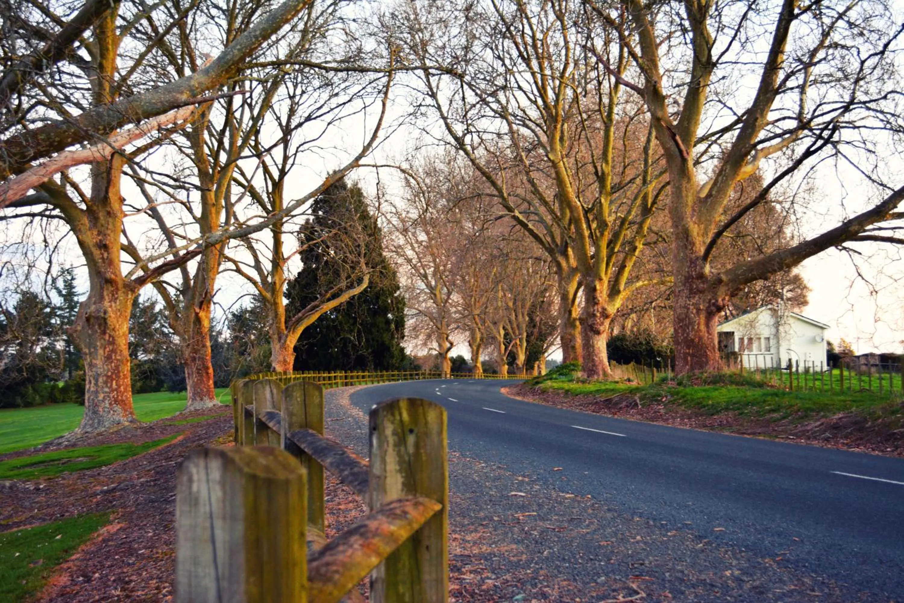 Golfcourse in Okoroire Hot Springs Hotel