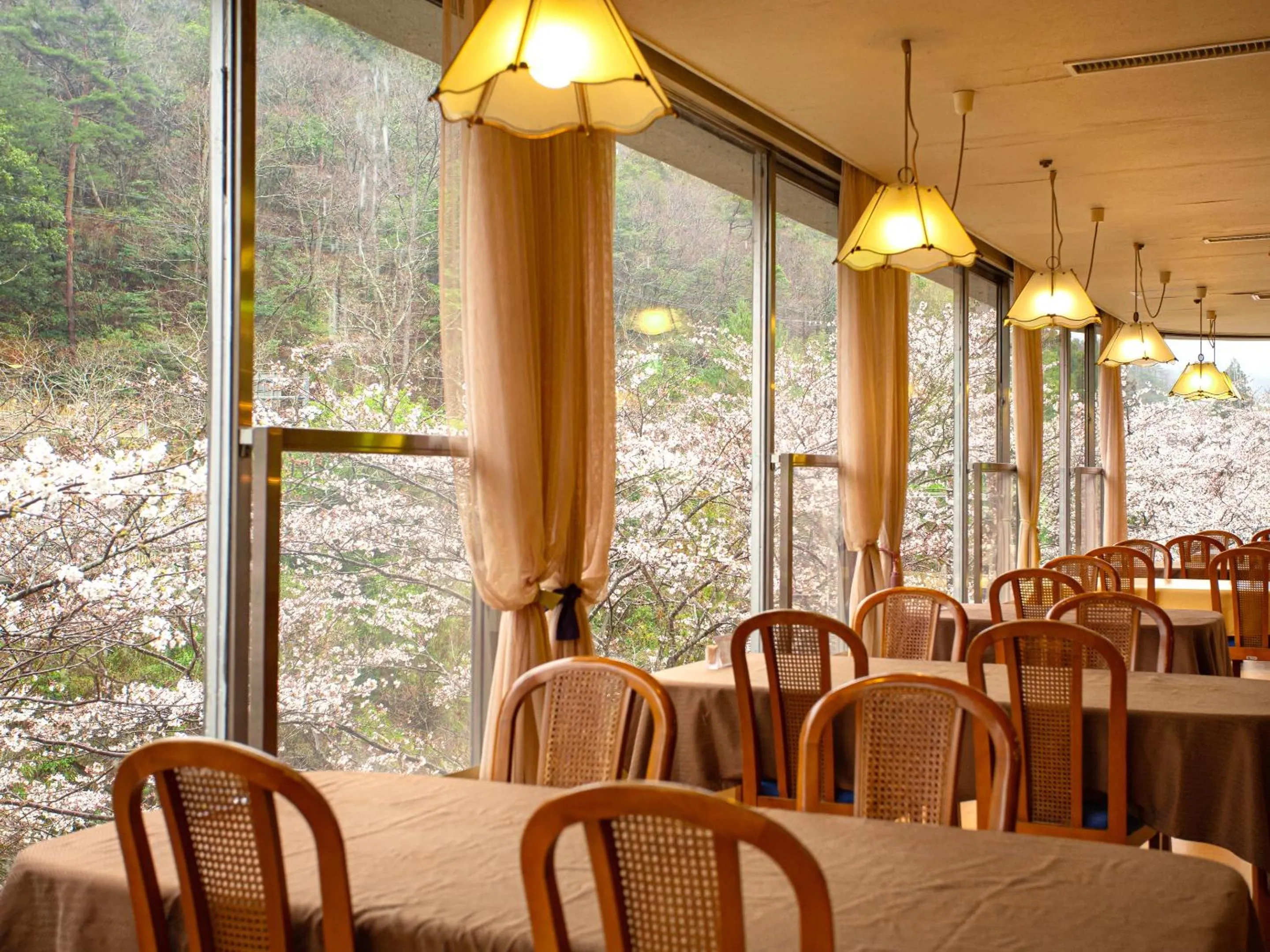 Restaurant/places to eat in Shin Kabakawa Kanko Hotel