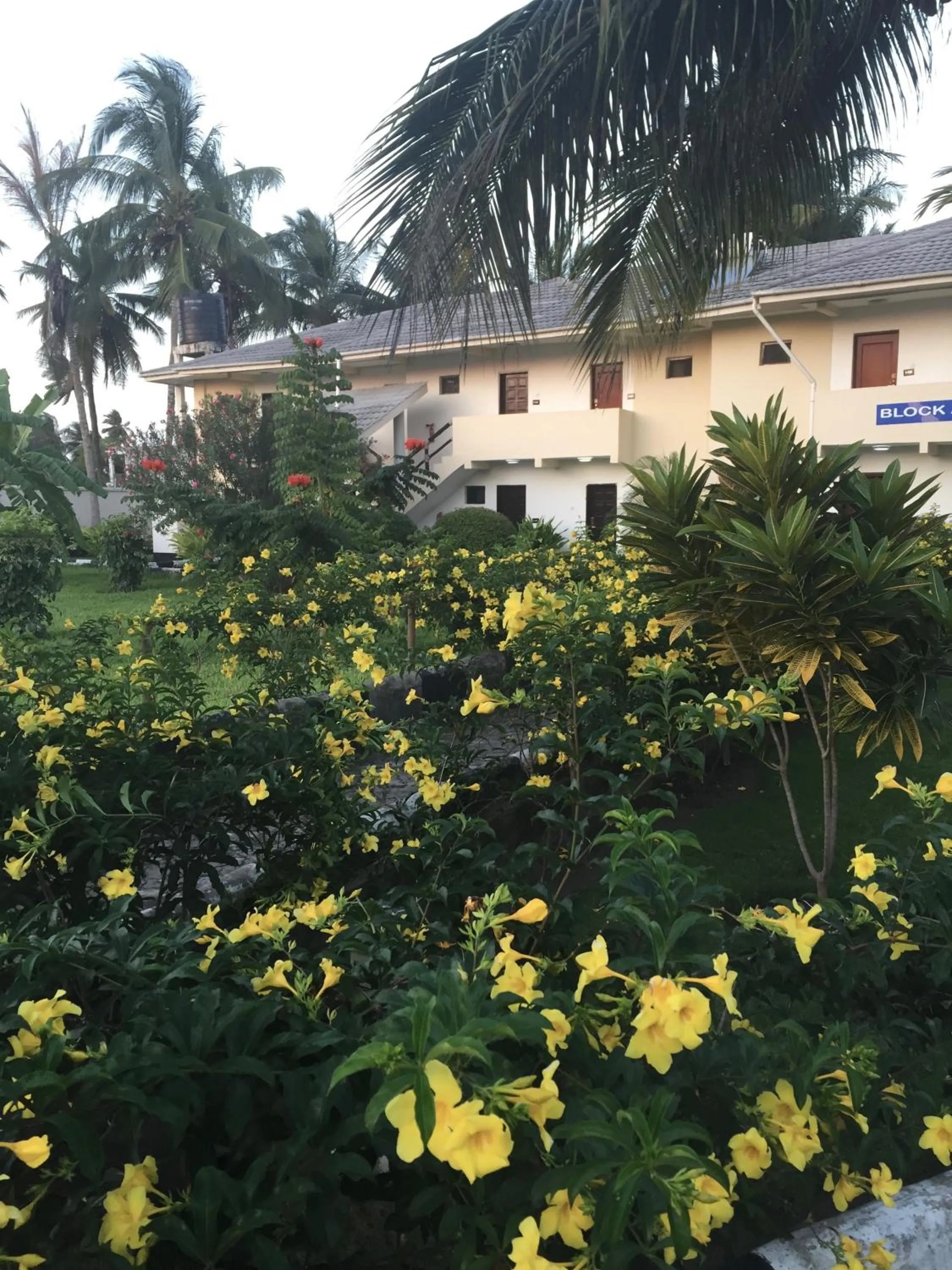 Property building in Oceanic Bay Hotel & Resort