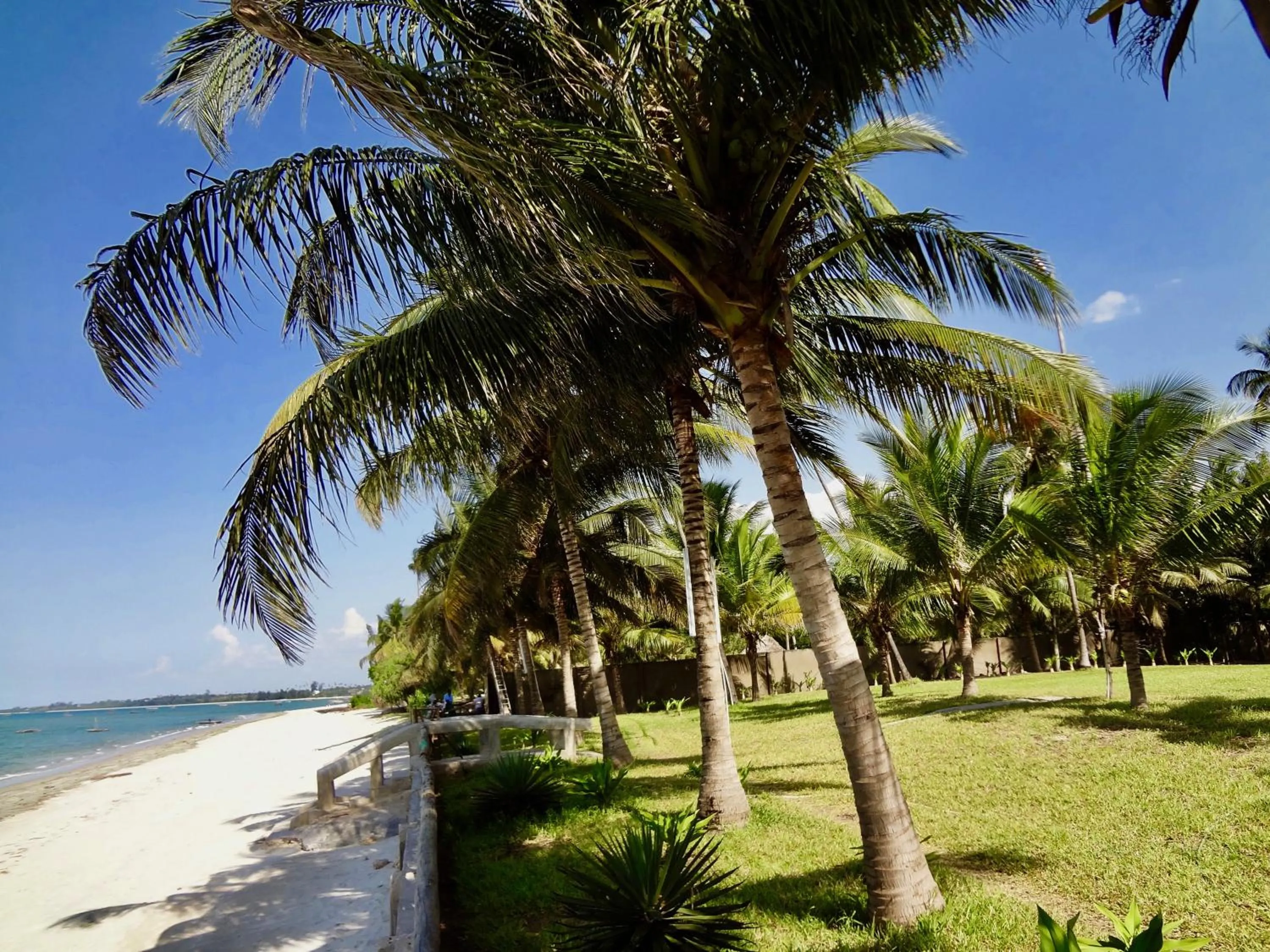 Beach in Oceanic Bay Hotel & Resort