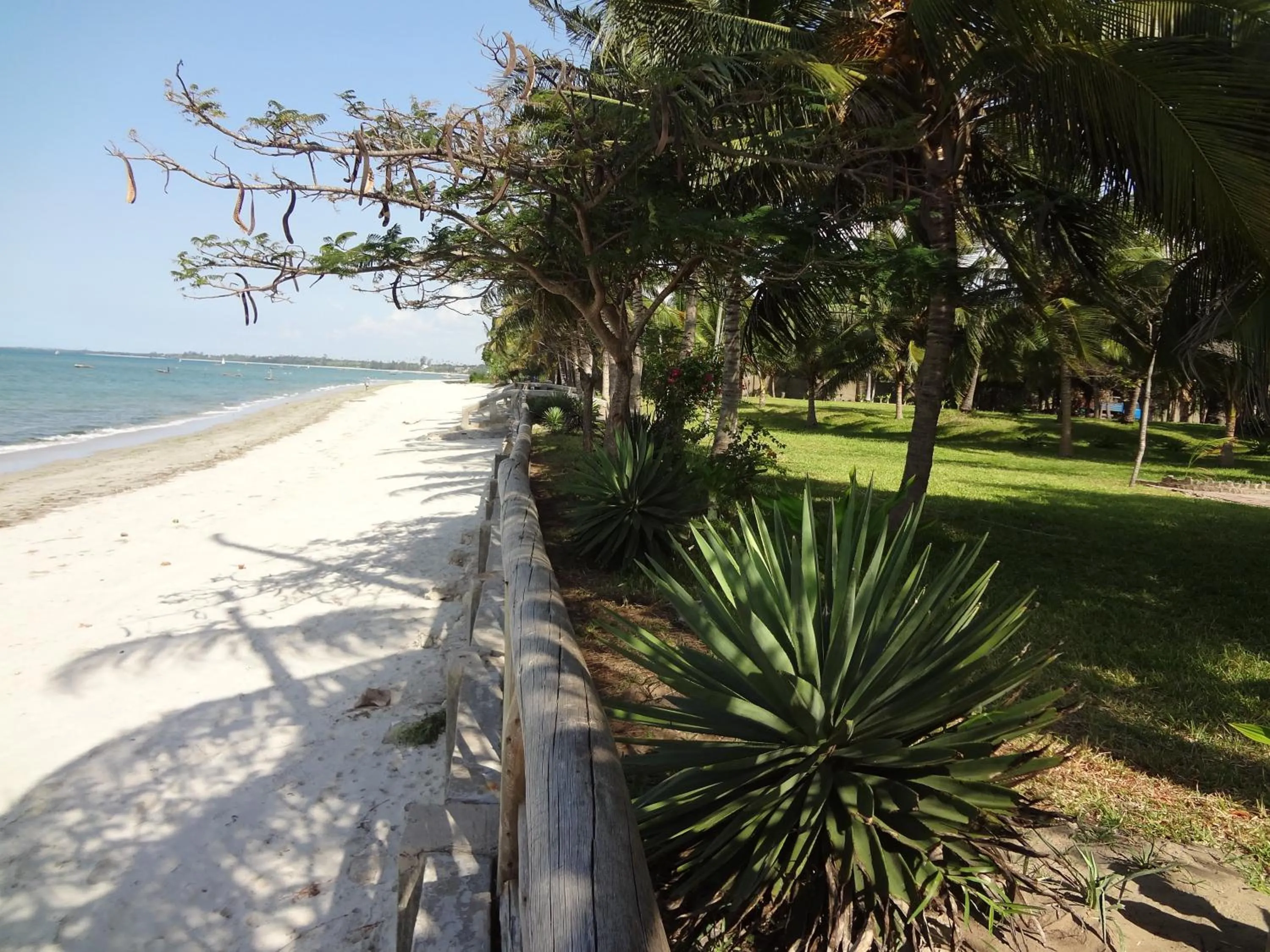 Beach in Oceanic Bay Hotel & Resort