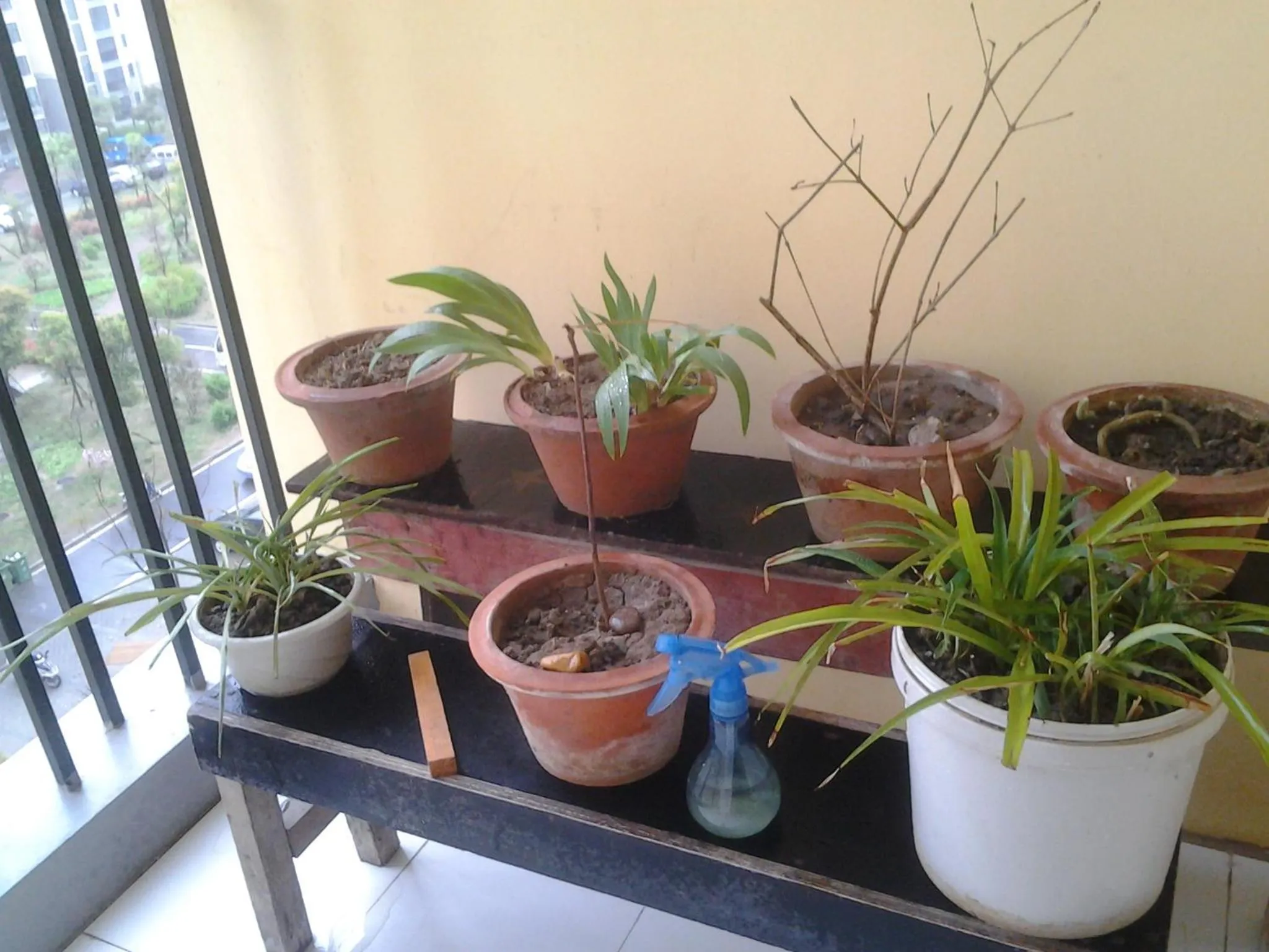 Balcony/Terrace in Makerhouse Hostel