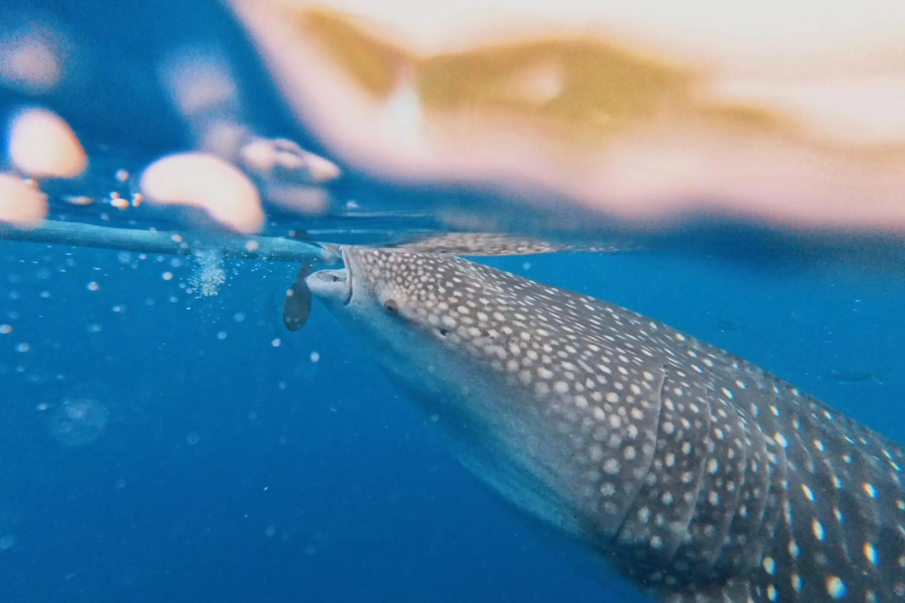 Off site in GT Seaside Inn