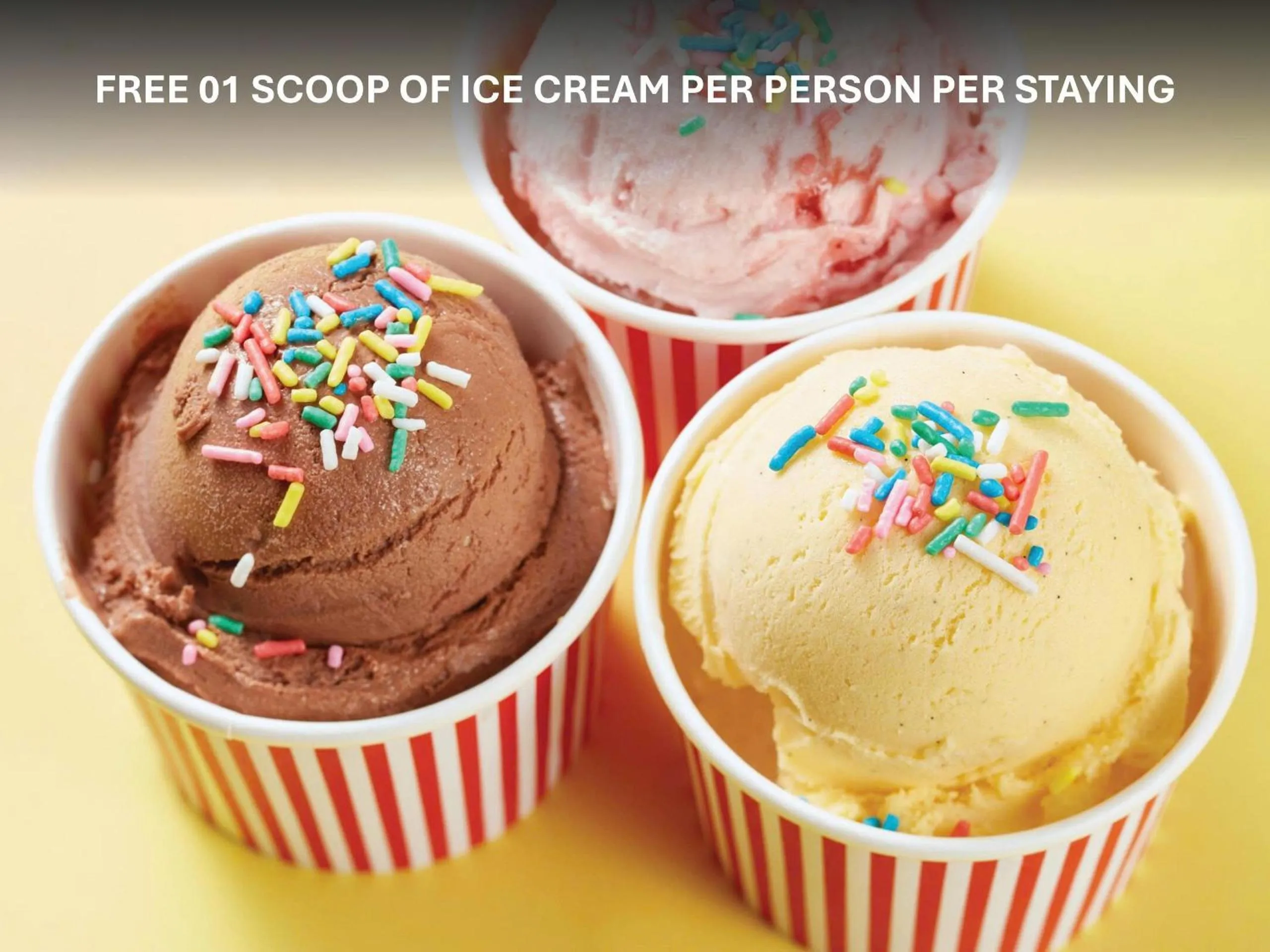 VIP in Wyndham Soleil Danang - Free Two ways Airport Transport