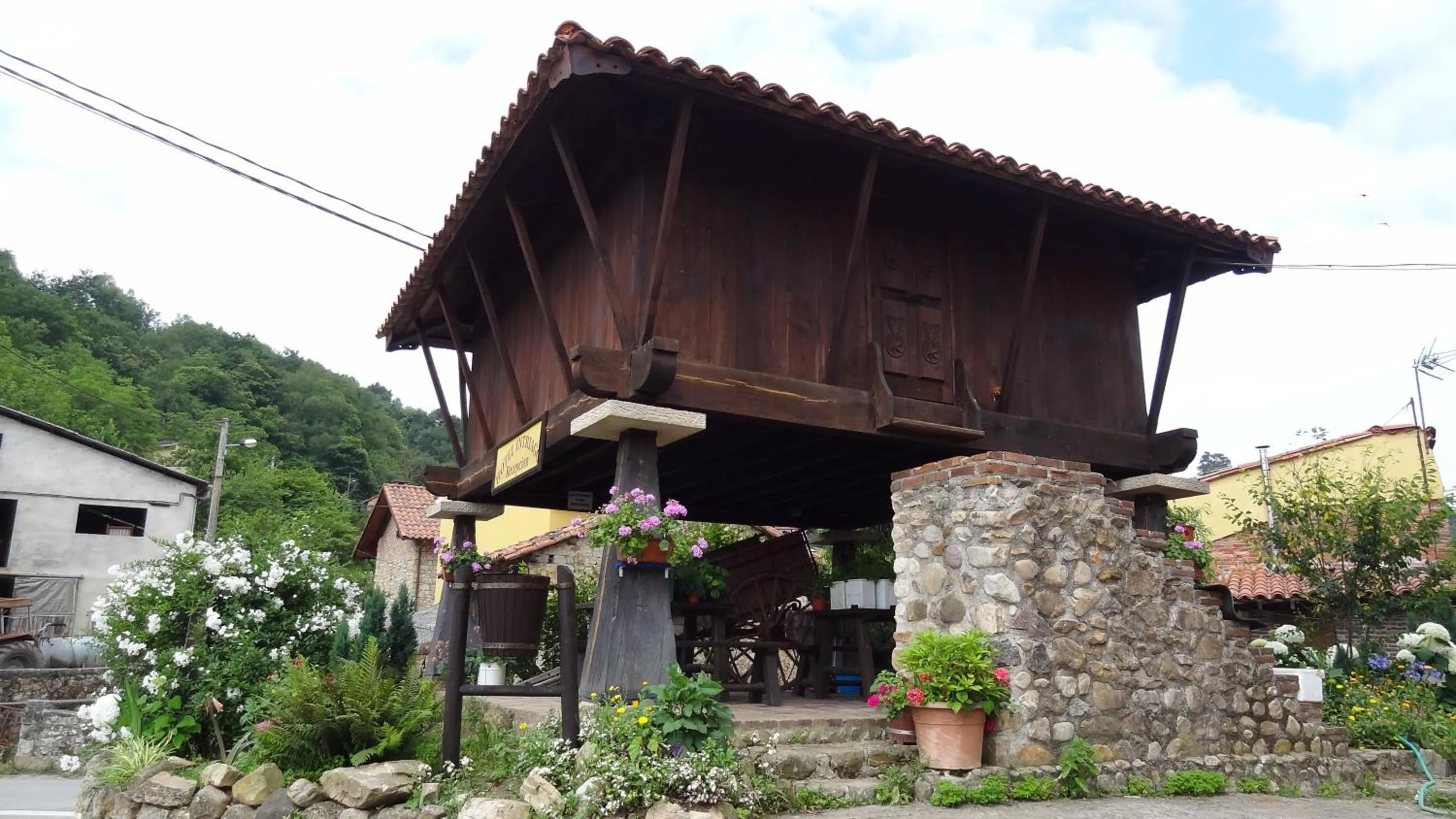 Garden view in Hotel Intriago I & II