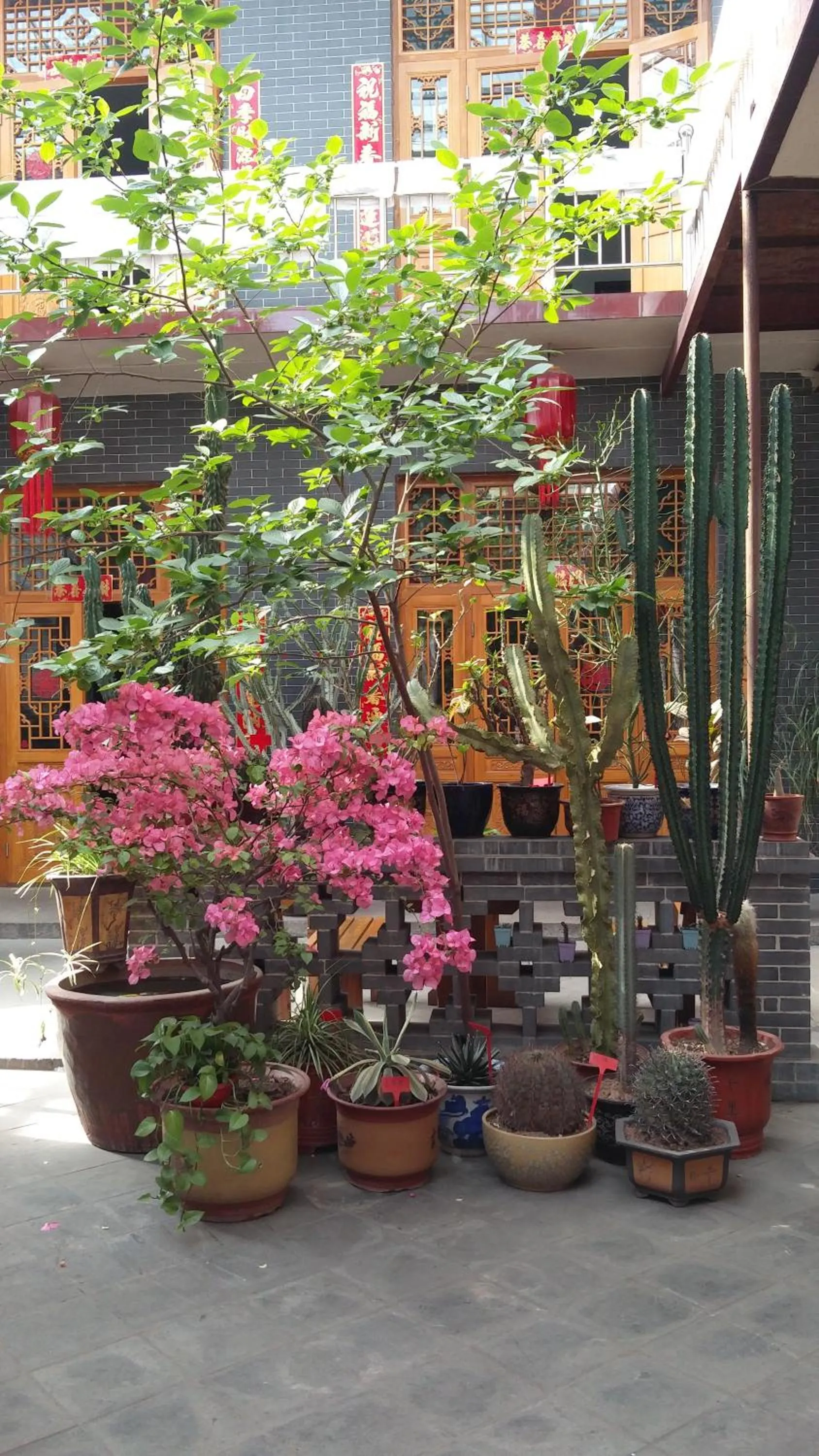 Pingyao Jiaxin Guesthouse