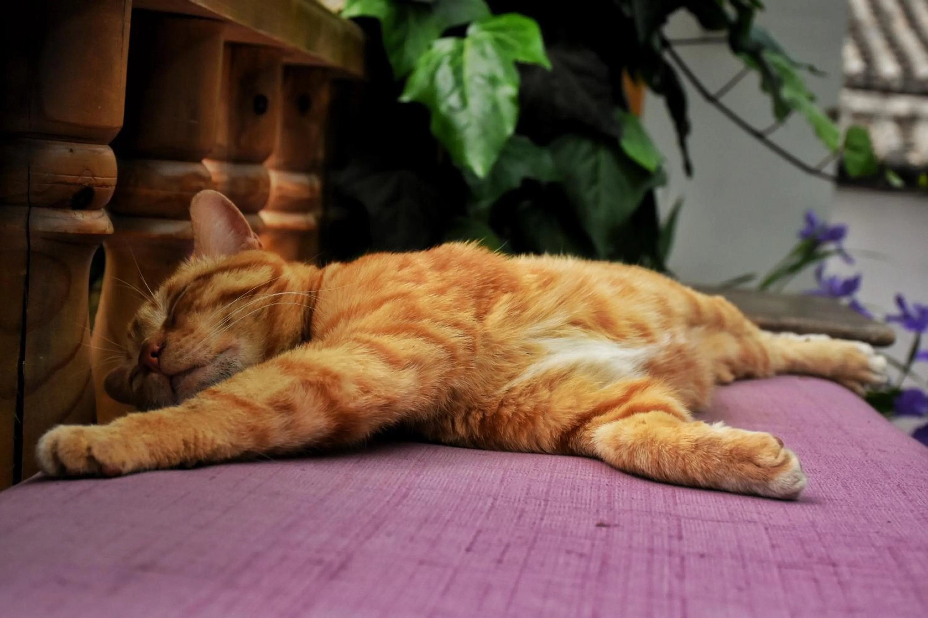 Tourist Courtyard Hotel