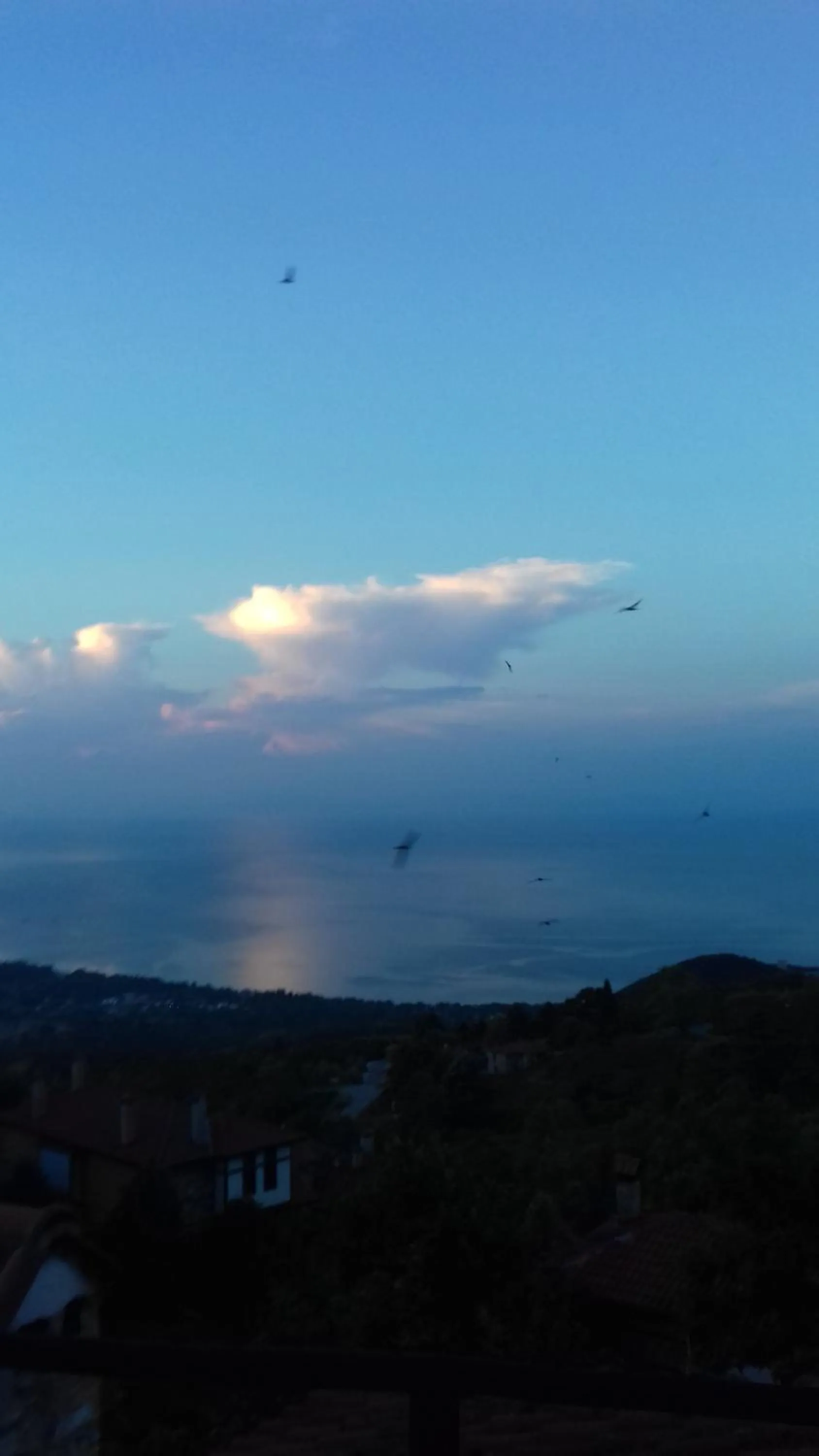 Restaurant/places to eat in Enastron Guesthouse