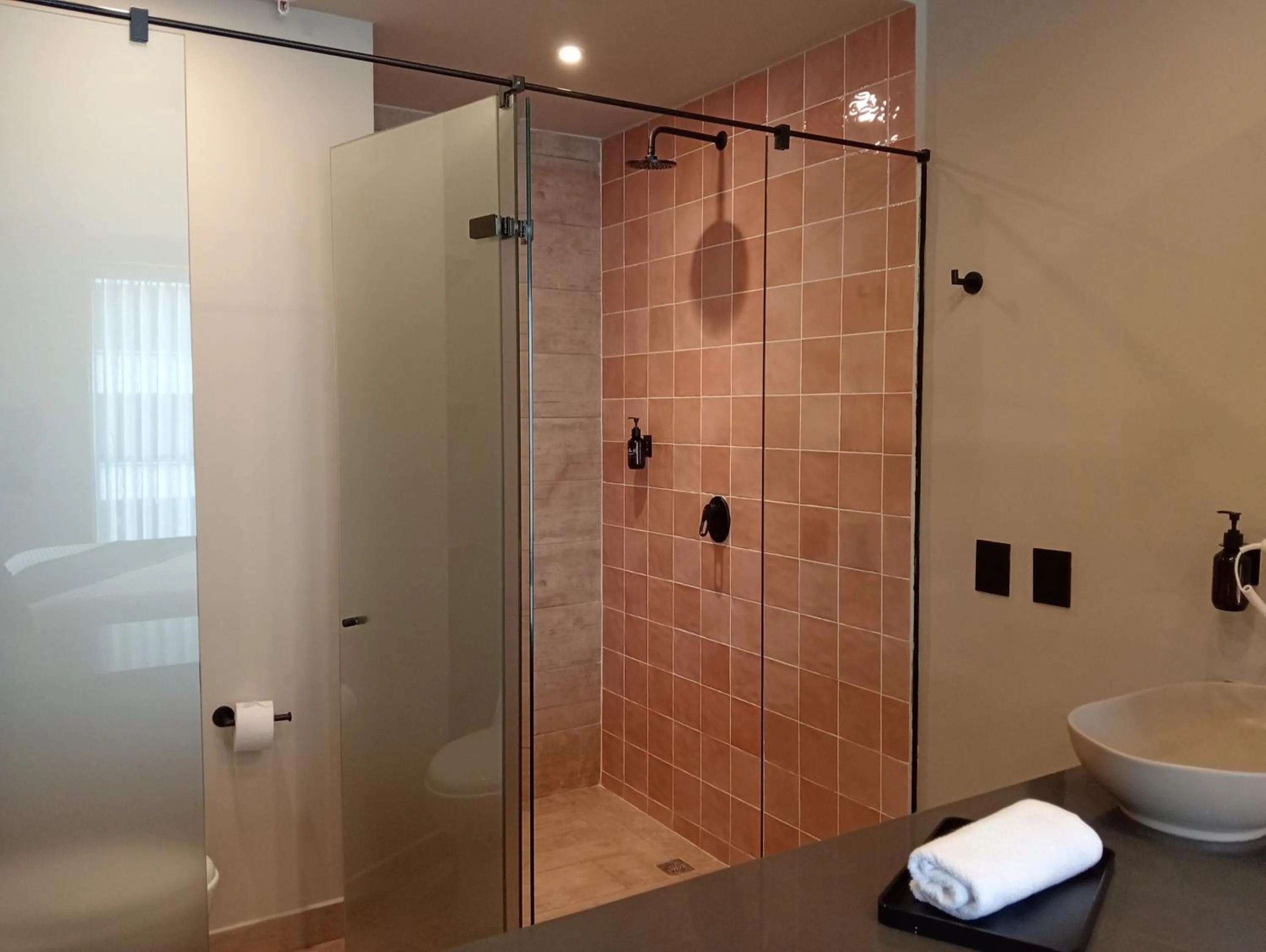 Bathroom in Hotel Rulay Medellin