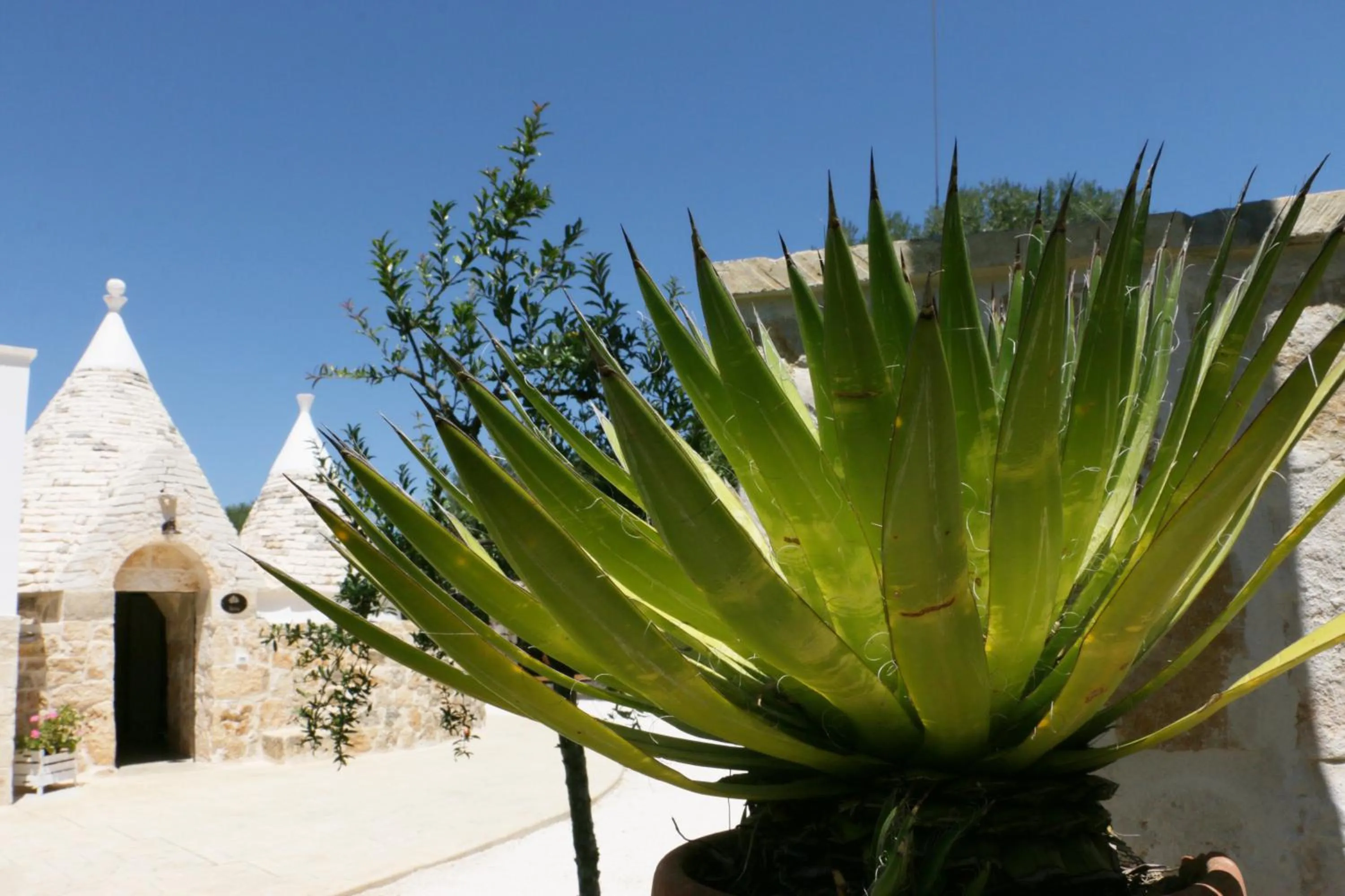 Decorative detail in Residence Spadalunga