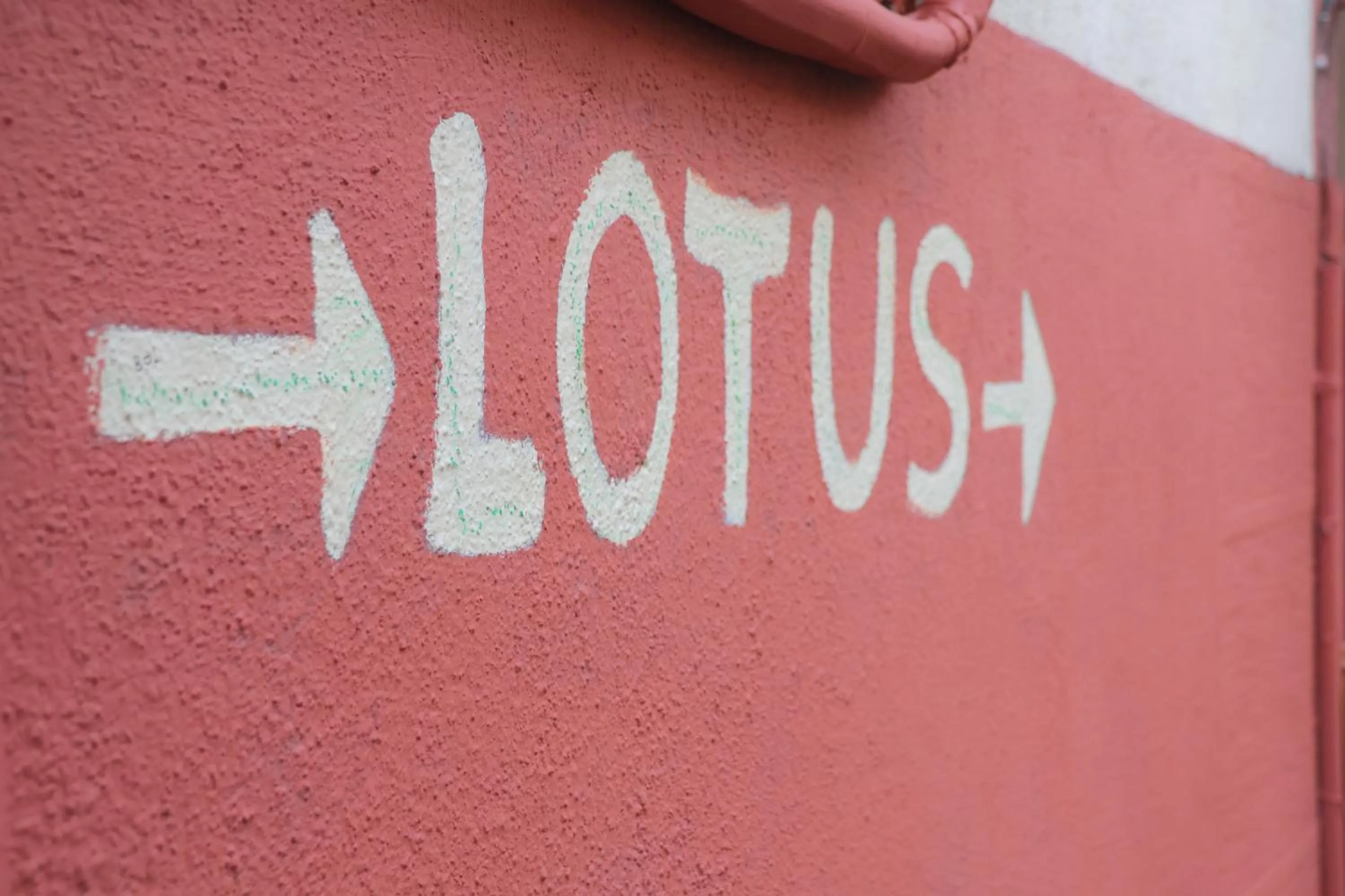 Lotus Garden Hostel Izmir