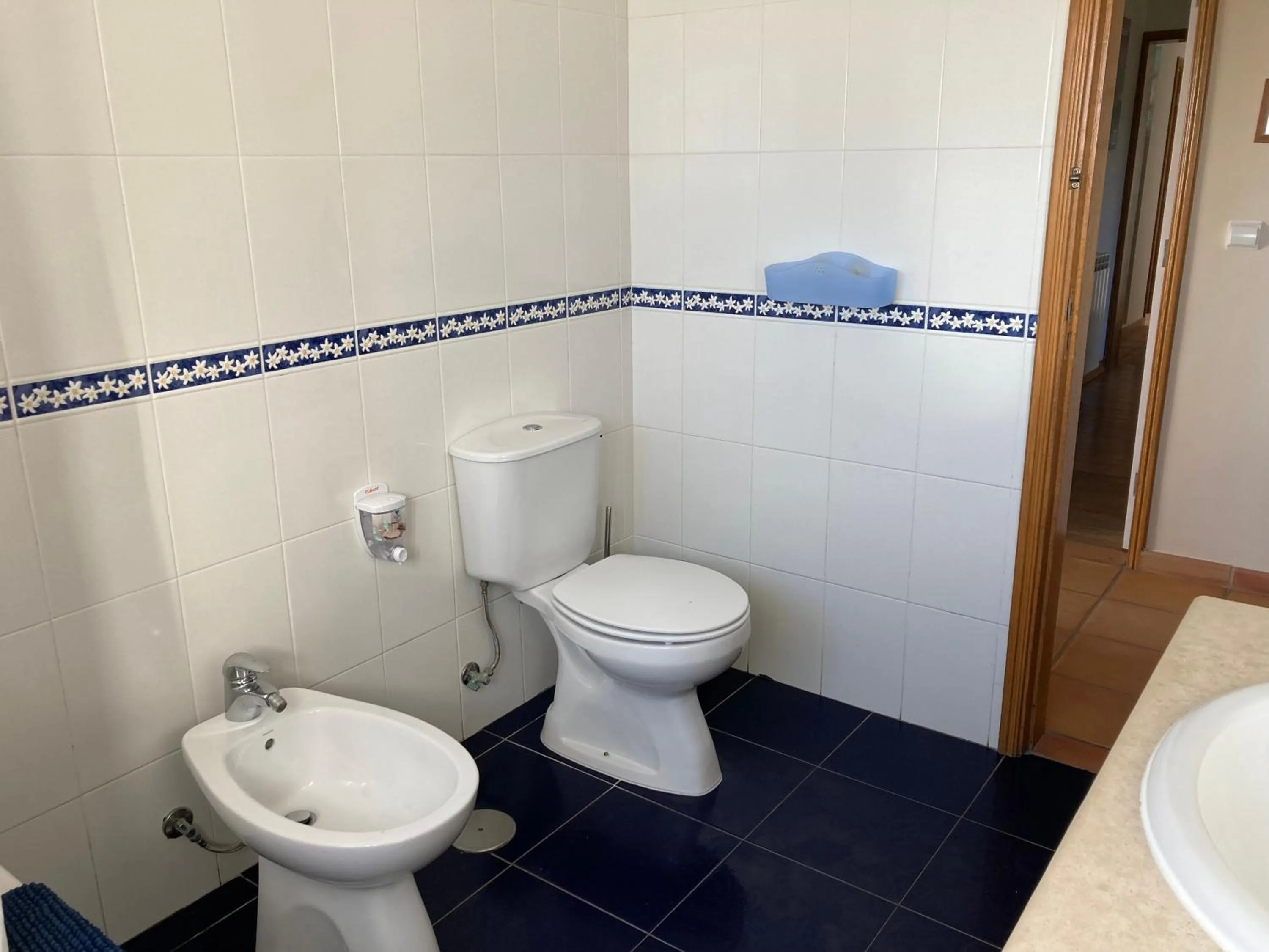 Toilet in FreeSurfCamp