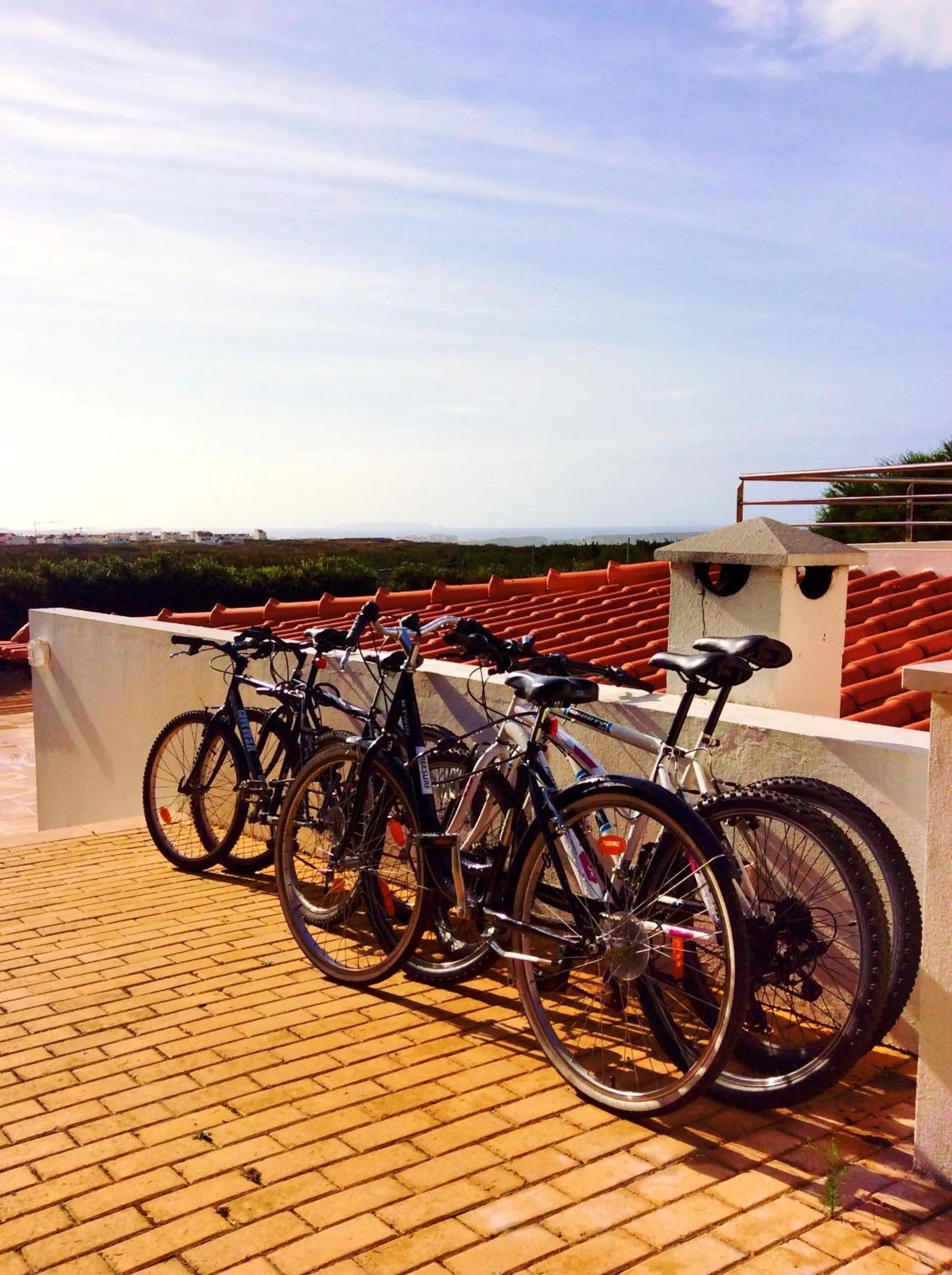 Area and facilities in FreeSurfCamp