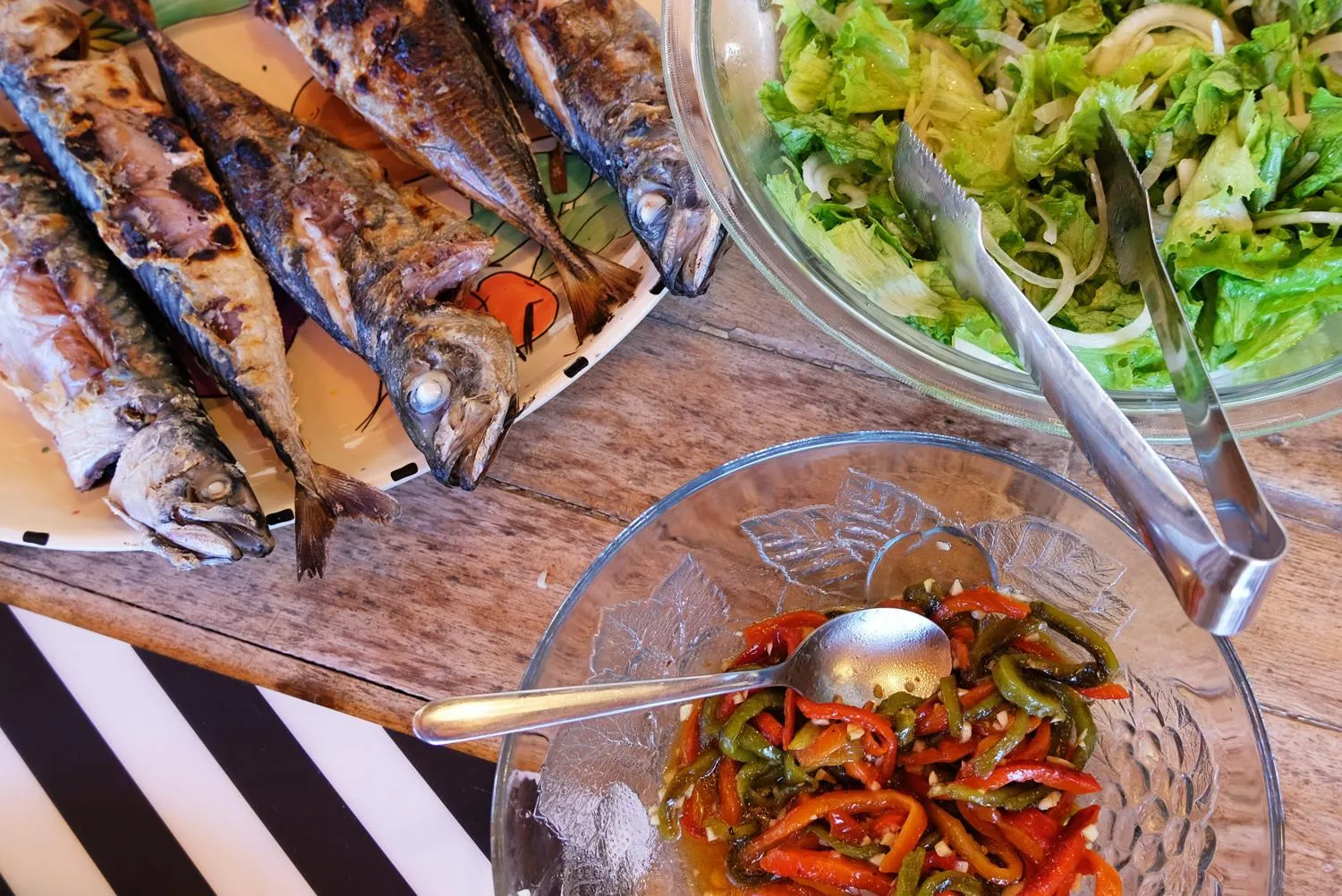 Summer in FreeSurfCamp