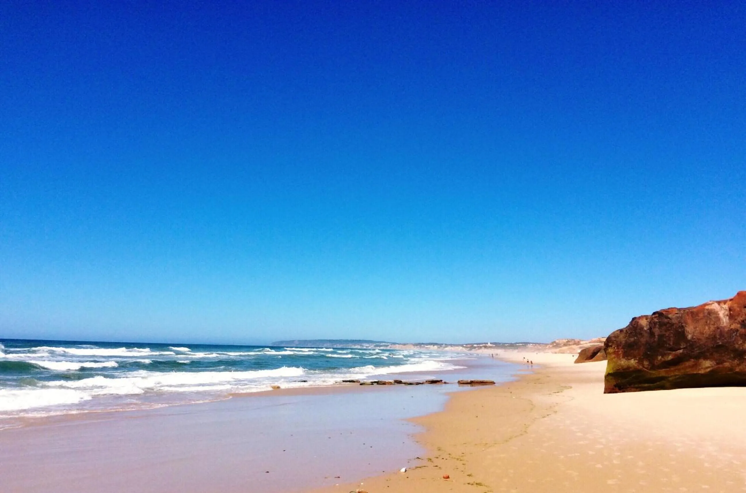 Natural landscape in FreeSurfCamp