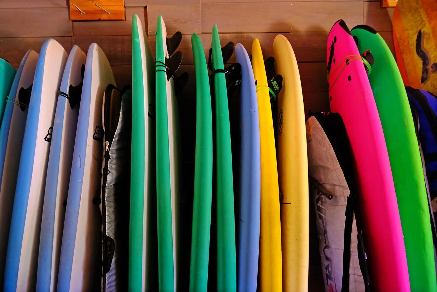 Beach in FreeSurfCamp