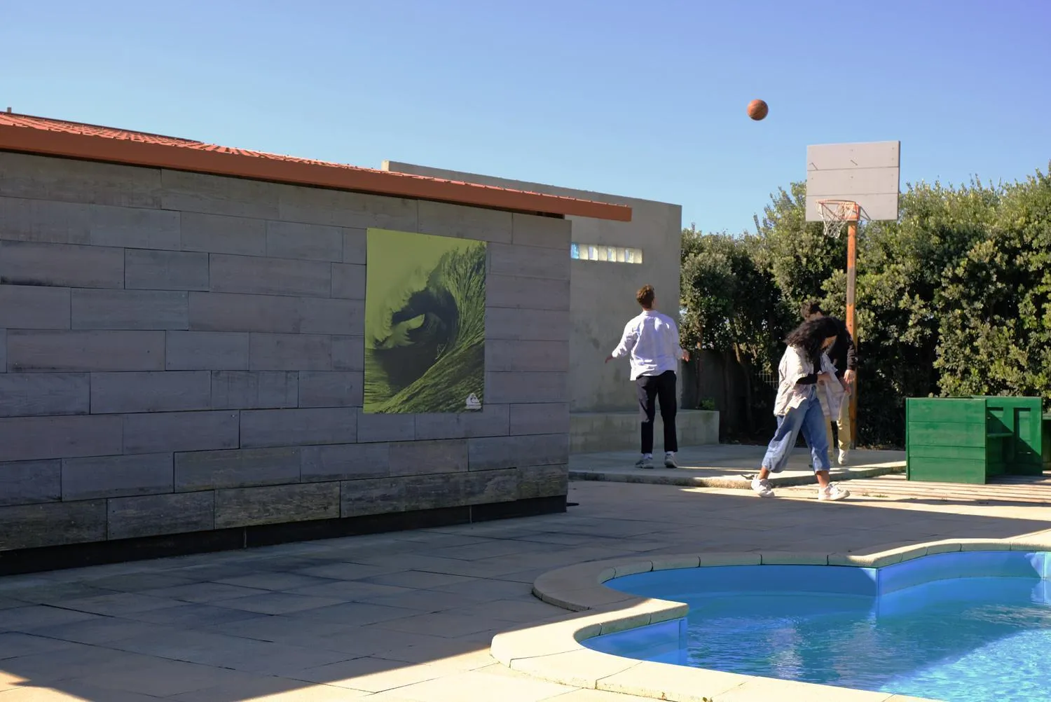 Activities in FreeSurfCamp