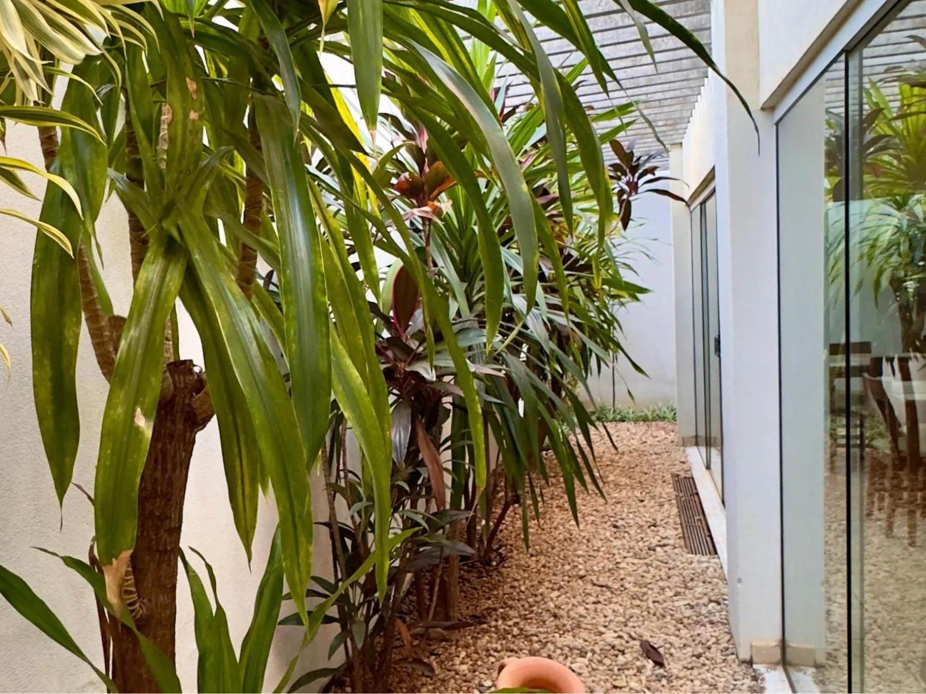 Day in Hotel Villa Rebellato