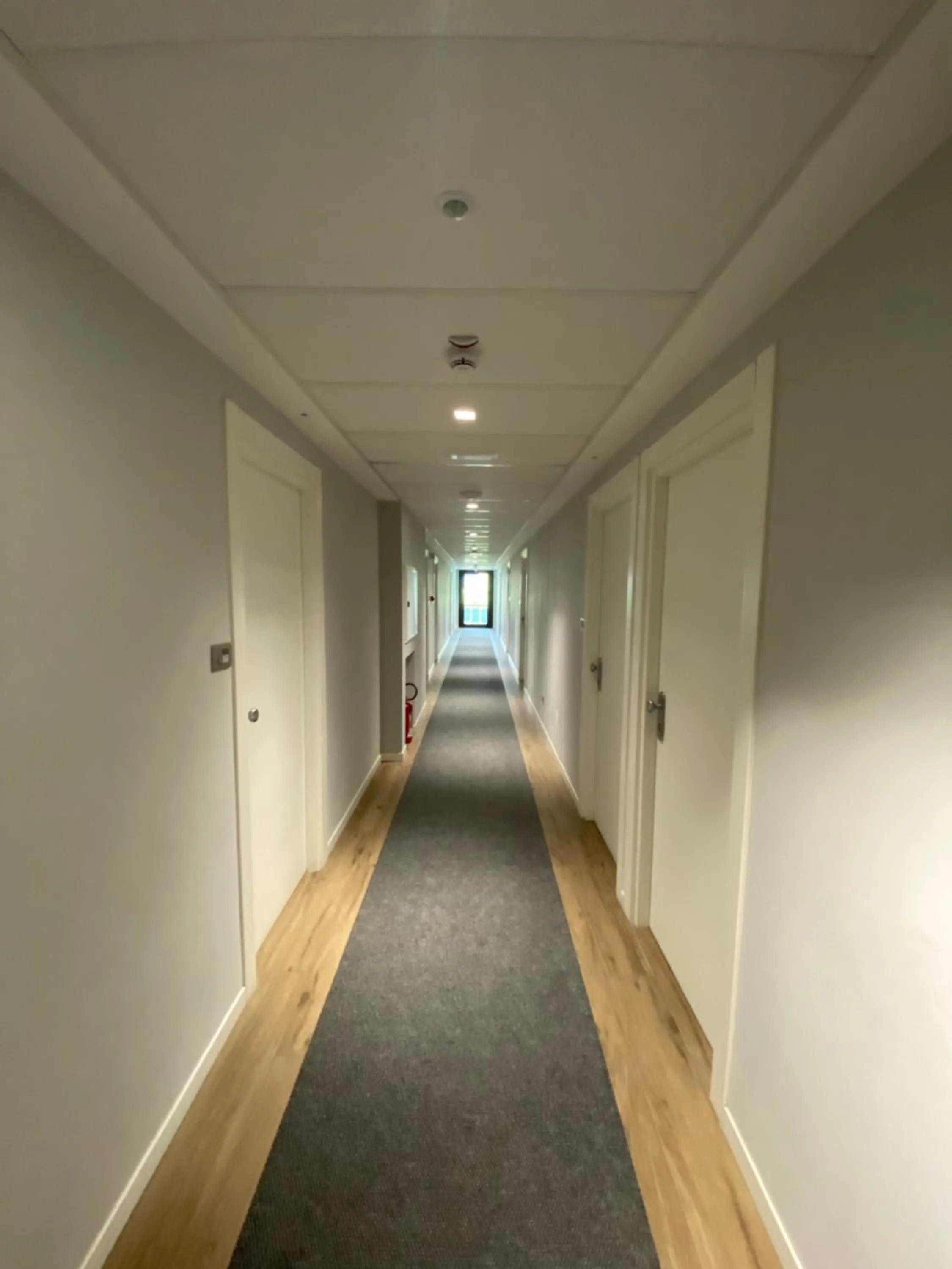 Area and facilities in Hotel ALDEBARAN