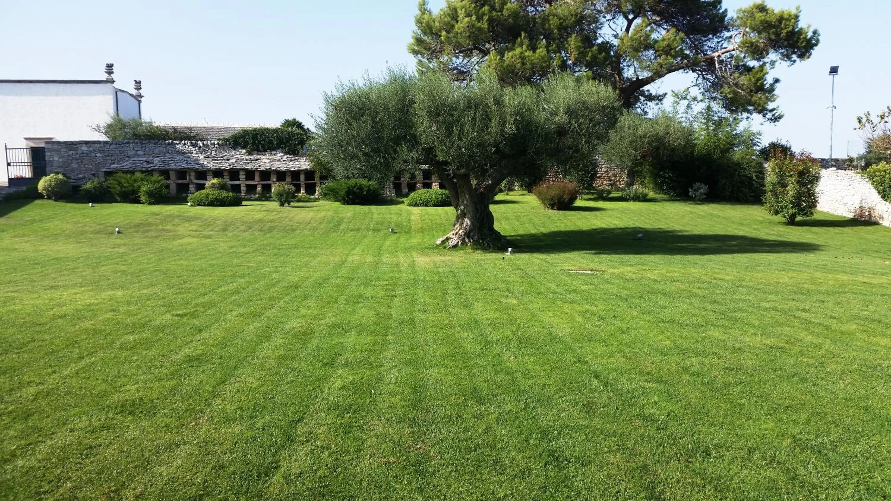 Garden in Masseria Luco