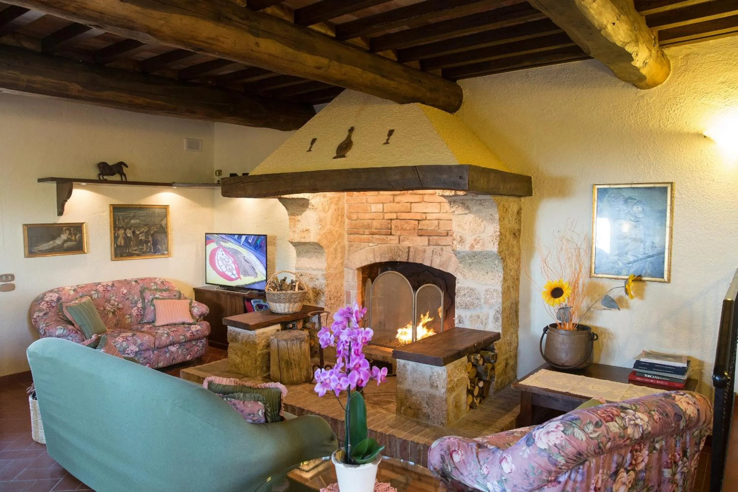 Area and facilities in Agriturismo Le Anfore