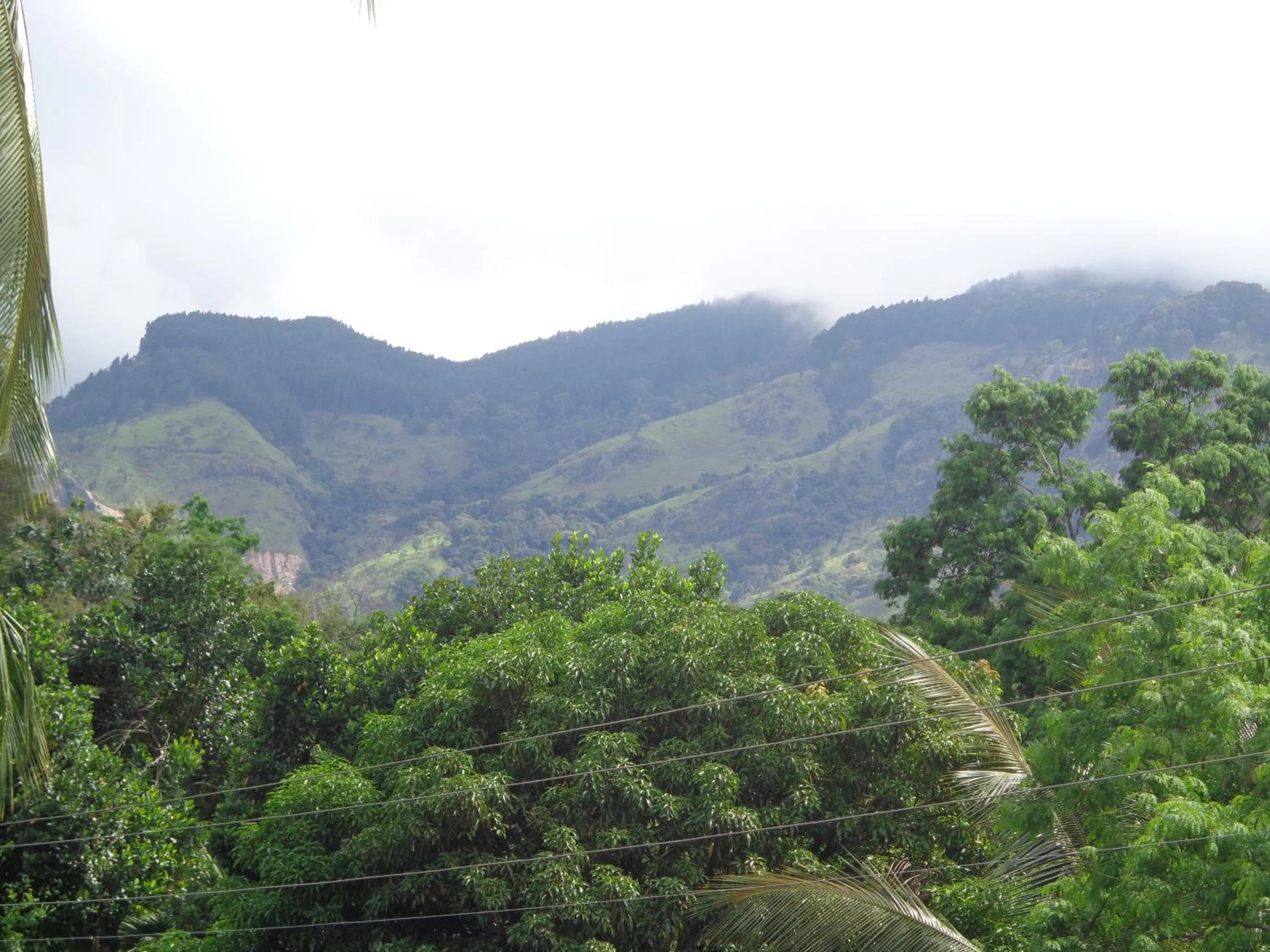 Day in Anura Guest Inn