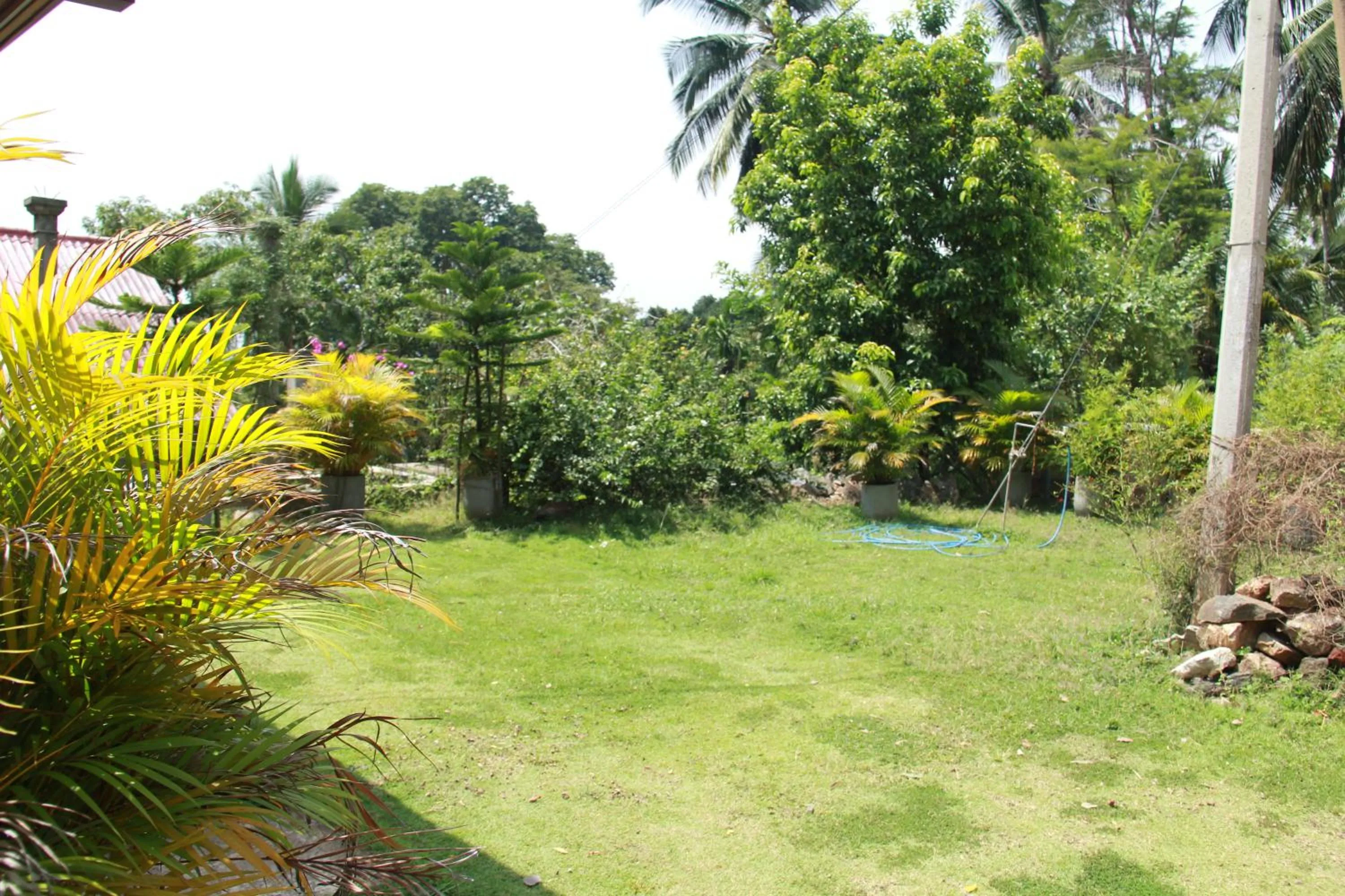 Area and facilities in Anura Guest Inn