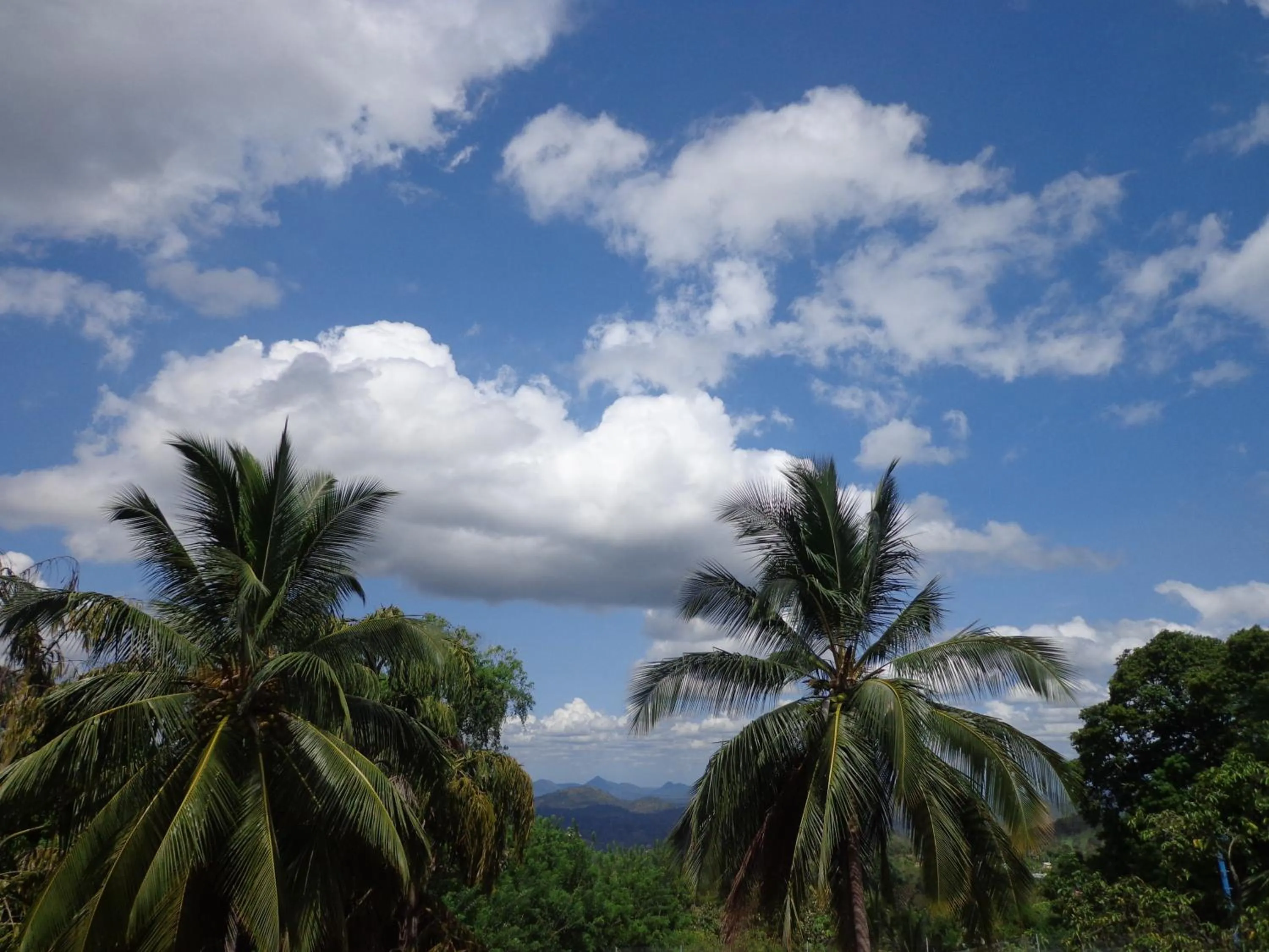 Day in Anura Guest Inn