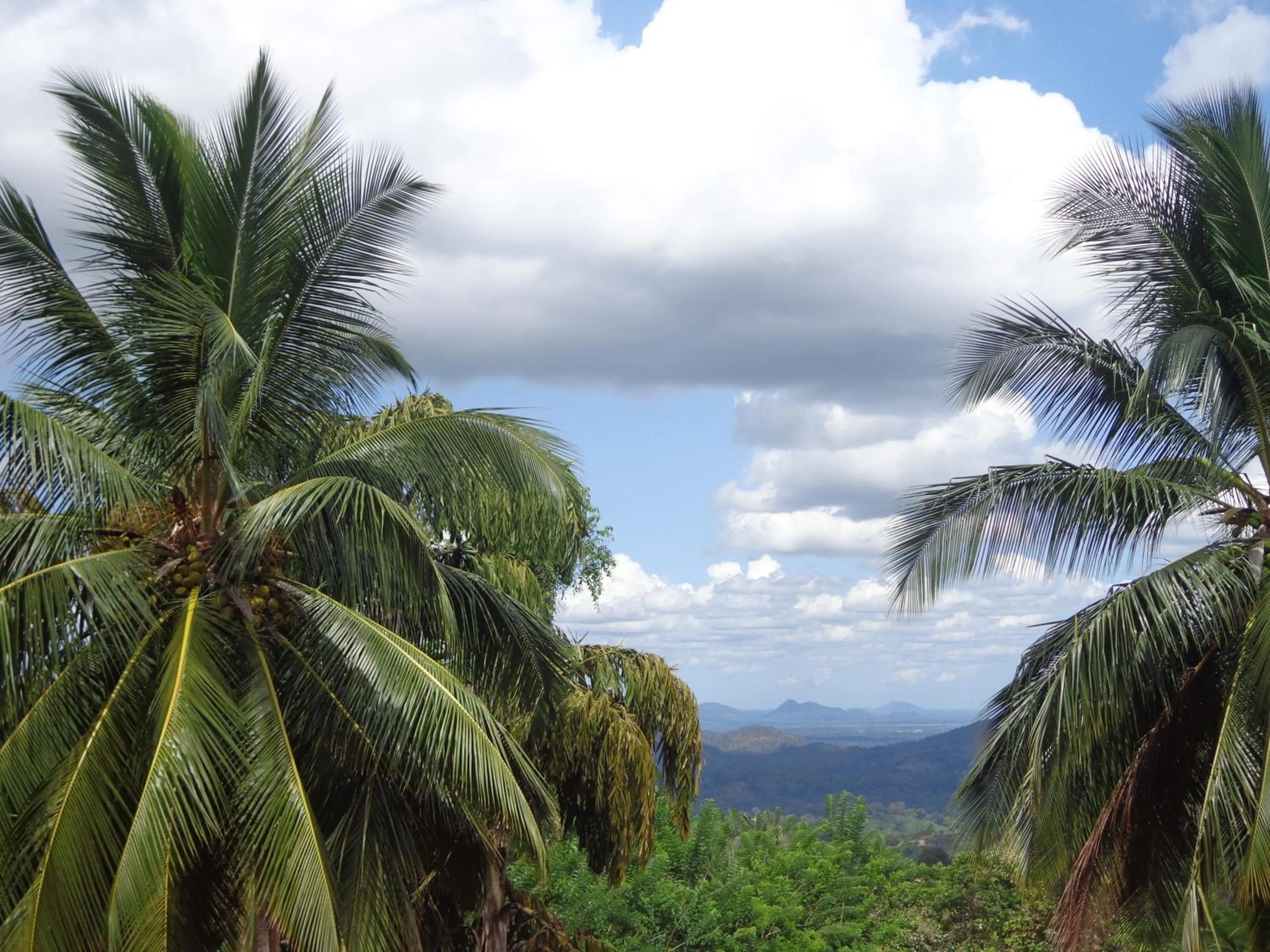 Day in Anura Guest Inn