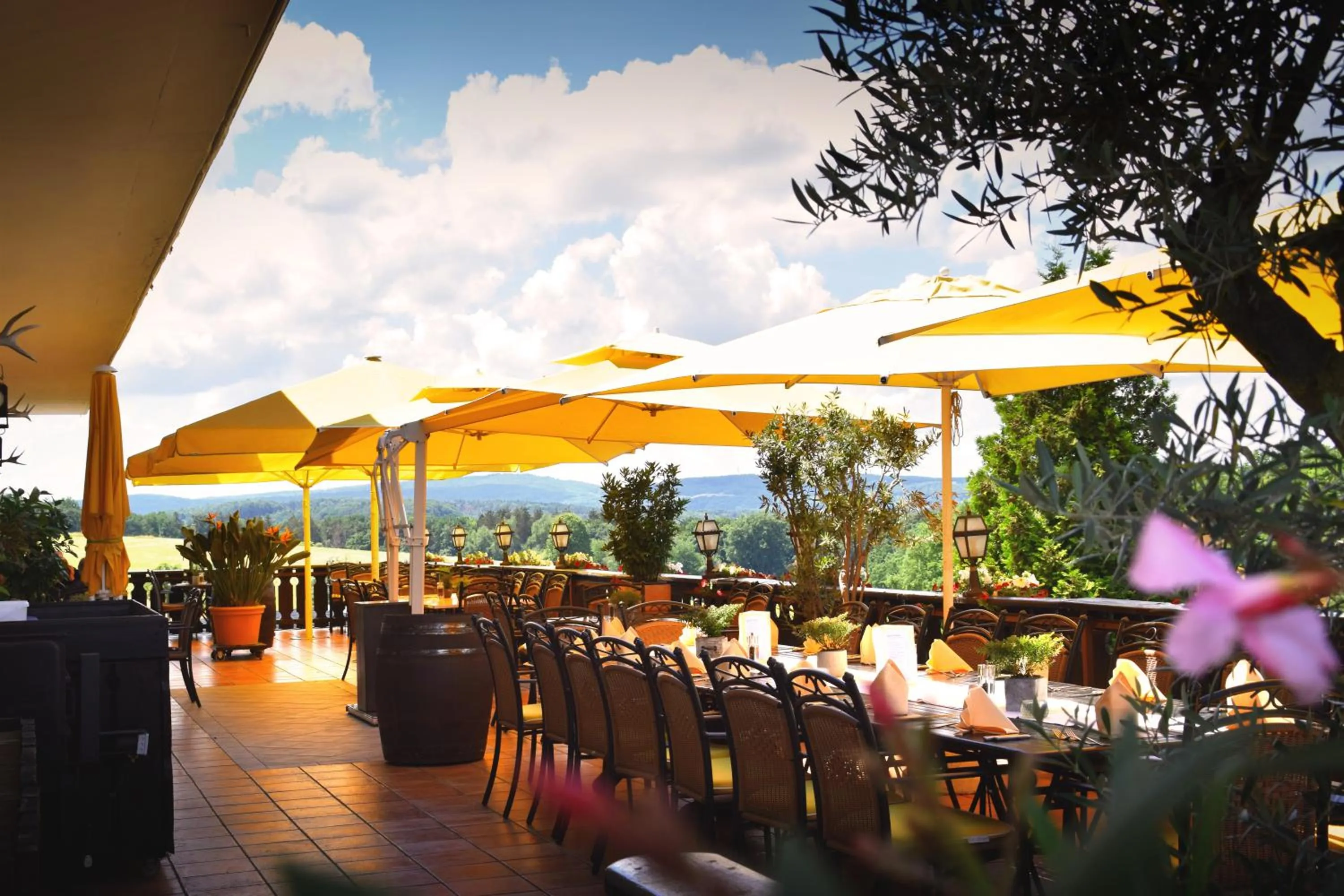 Restaurant/places to eat in Landhotel Zur Post