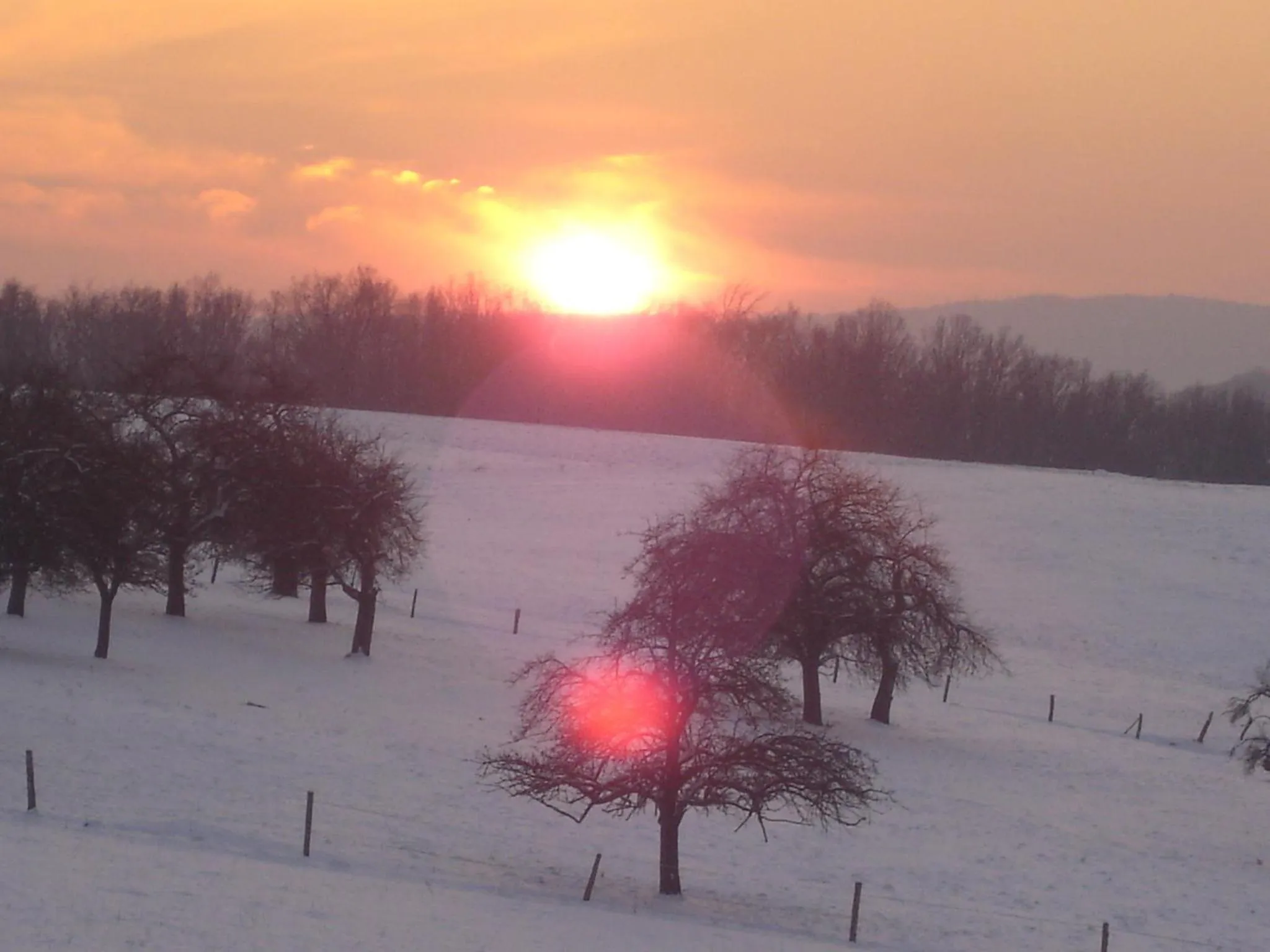 View (from property/room) in Landhotel Zur Post
