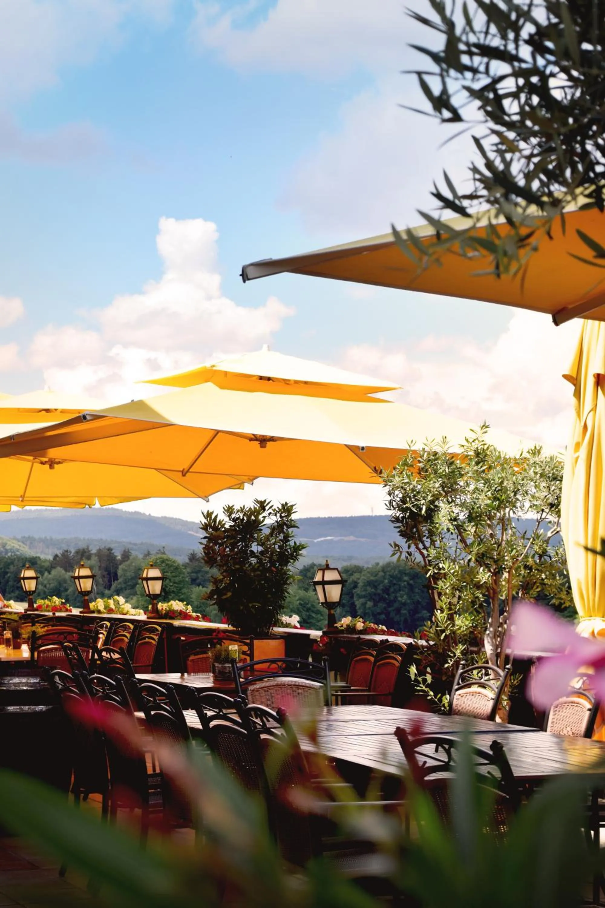 Restaurant/places to eat in Landhotel Zur Post