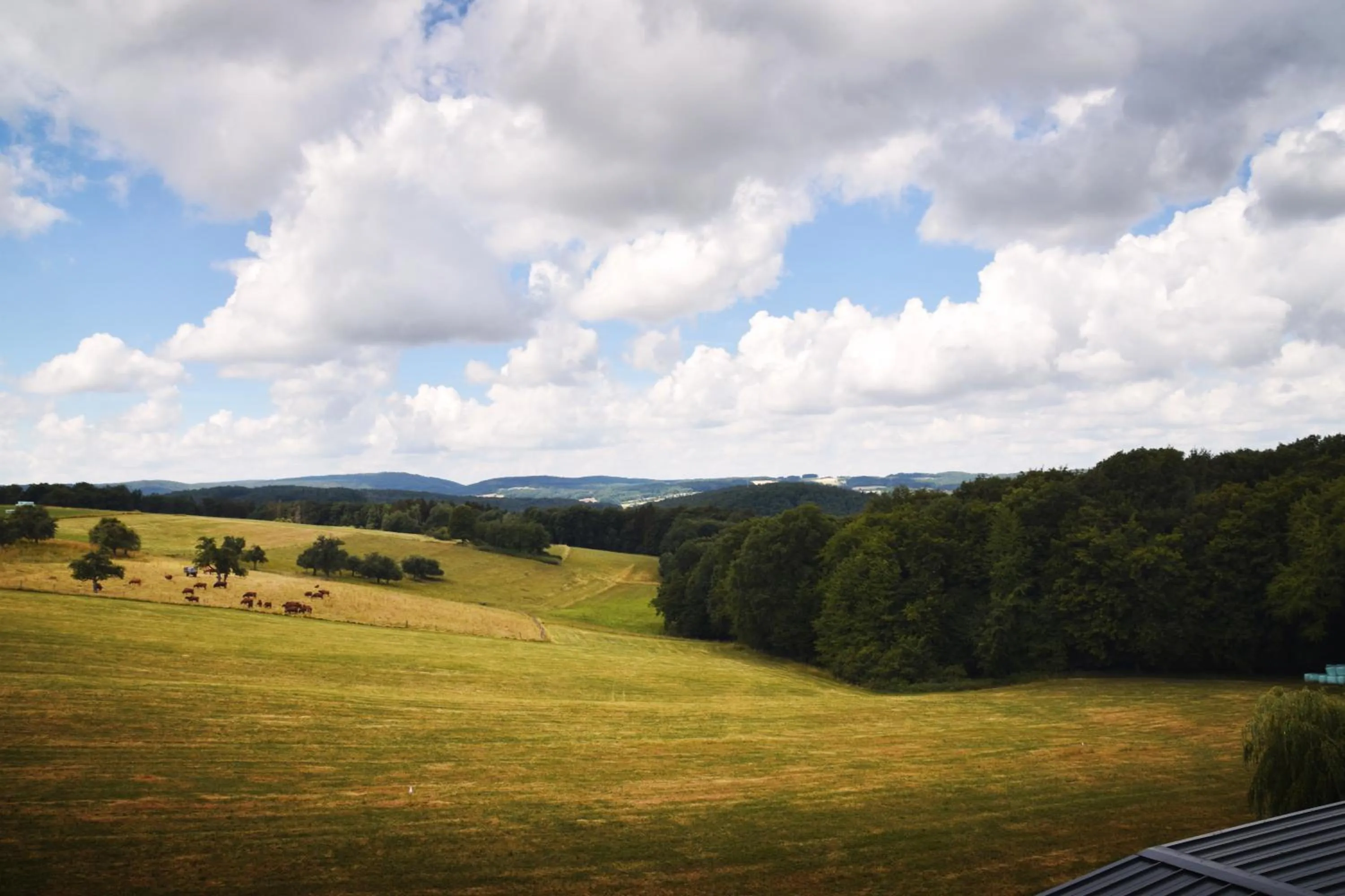 Property building in Landhotel Zur Post