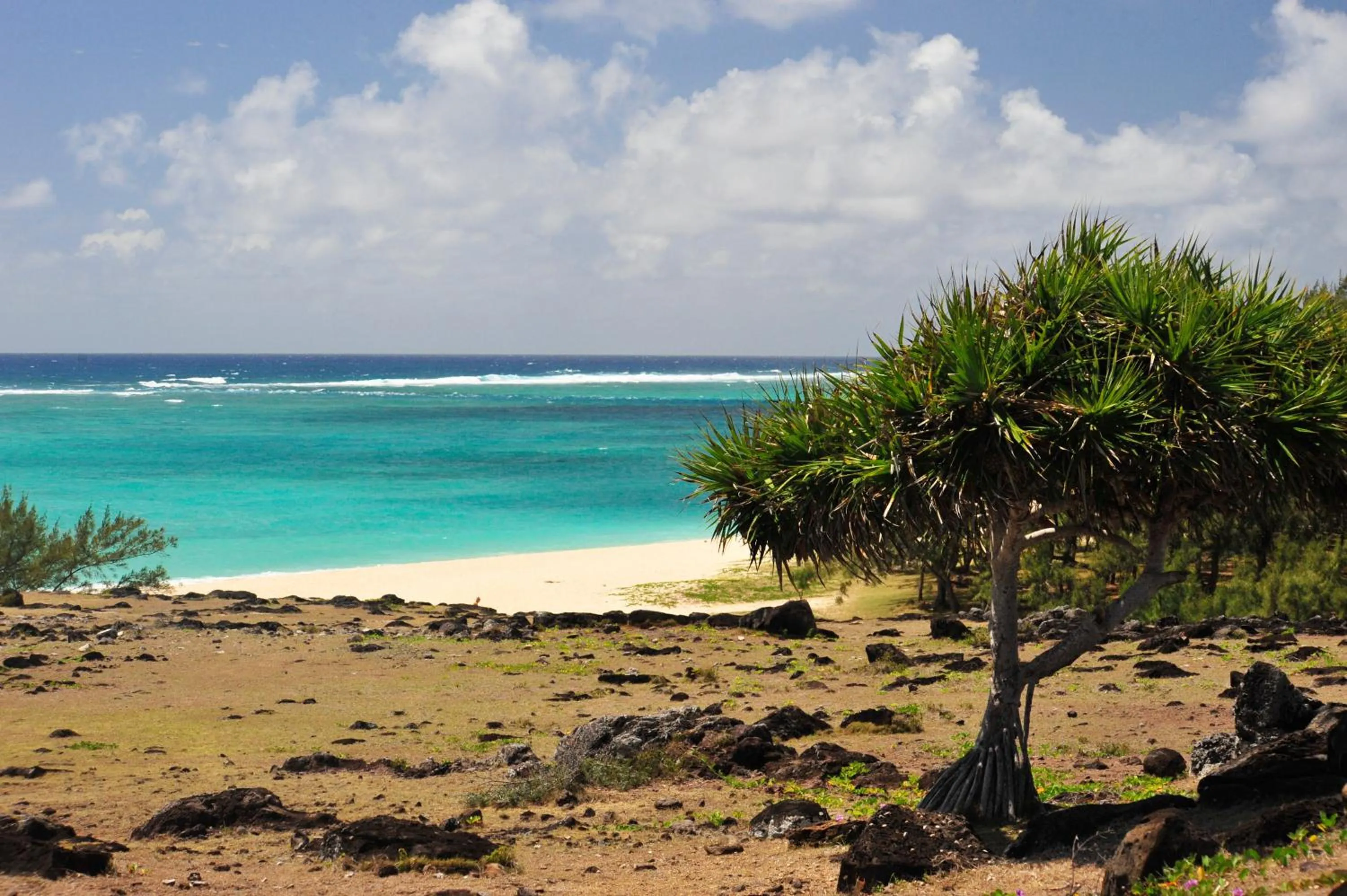 Beach in Chez Ronald Guest House