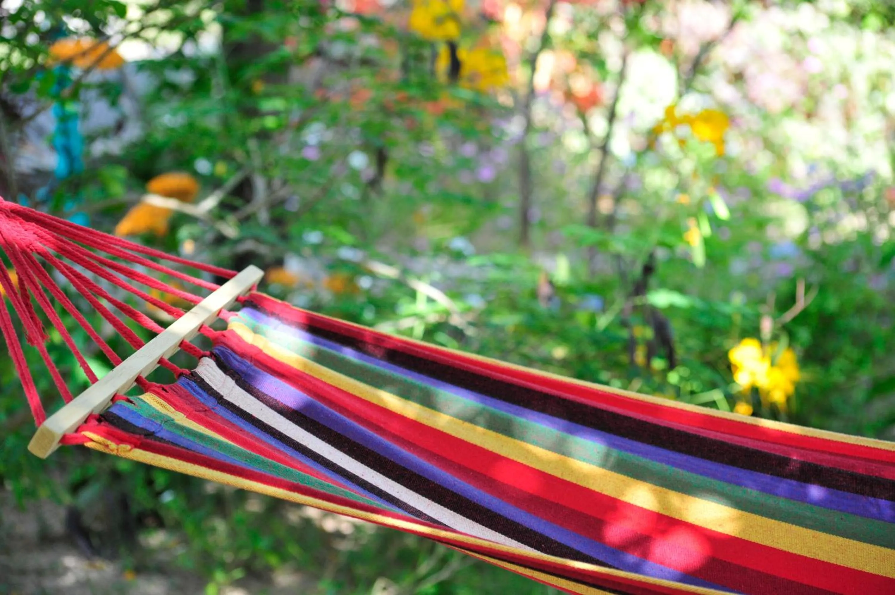 Garden in Chez Ronald Guest House