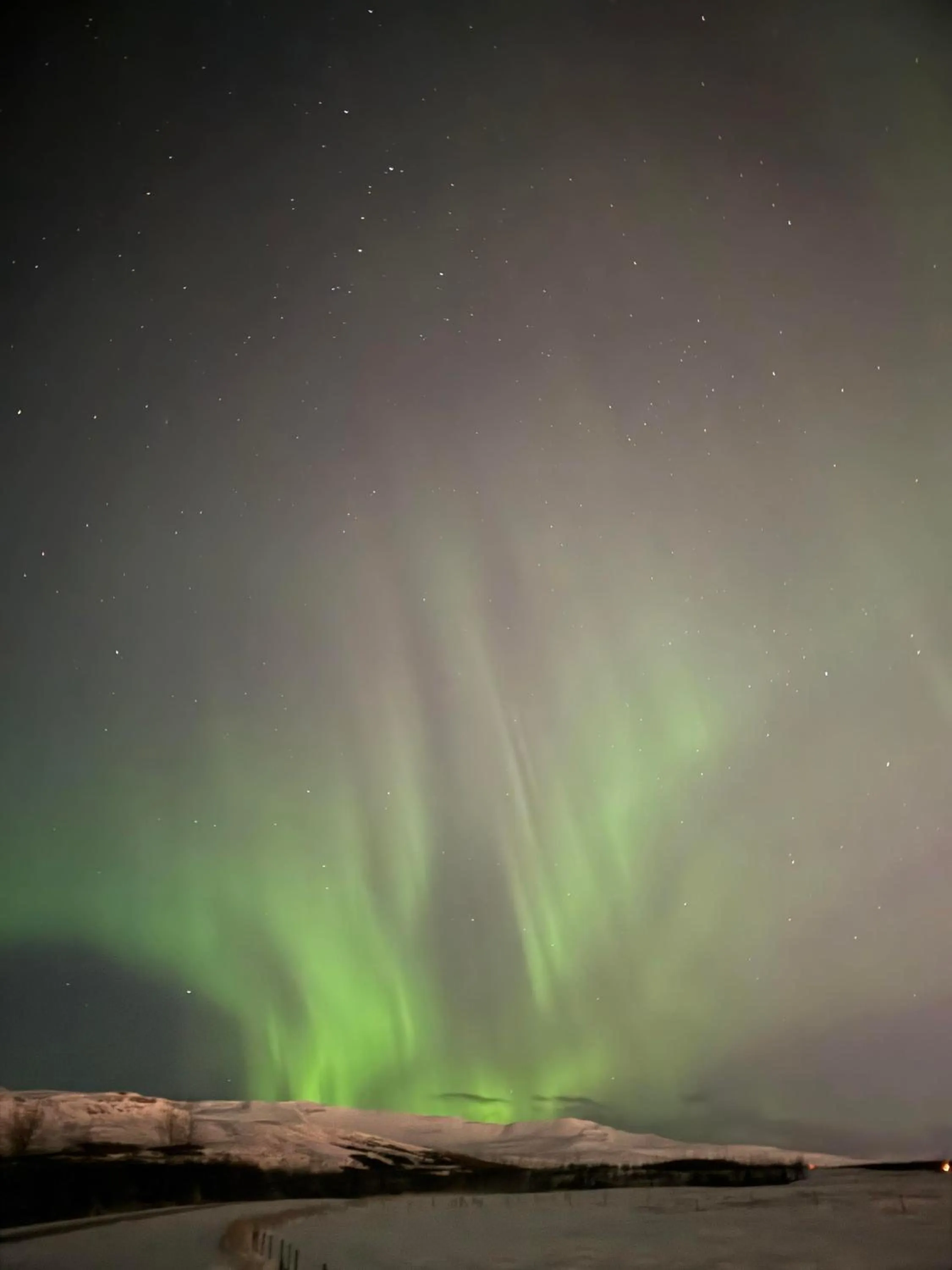 View (from property/room) in Hotel Kjarnalundur- Aurora Dream - Lodges and Rooms