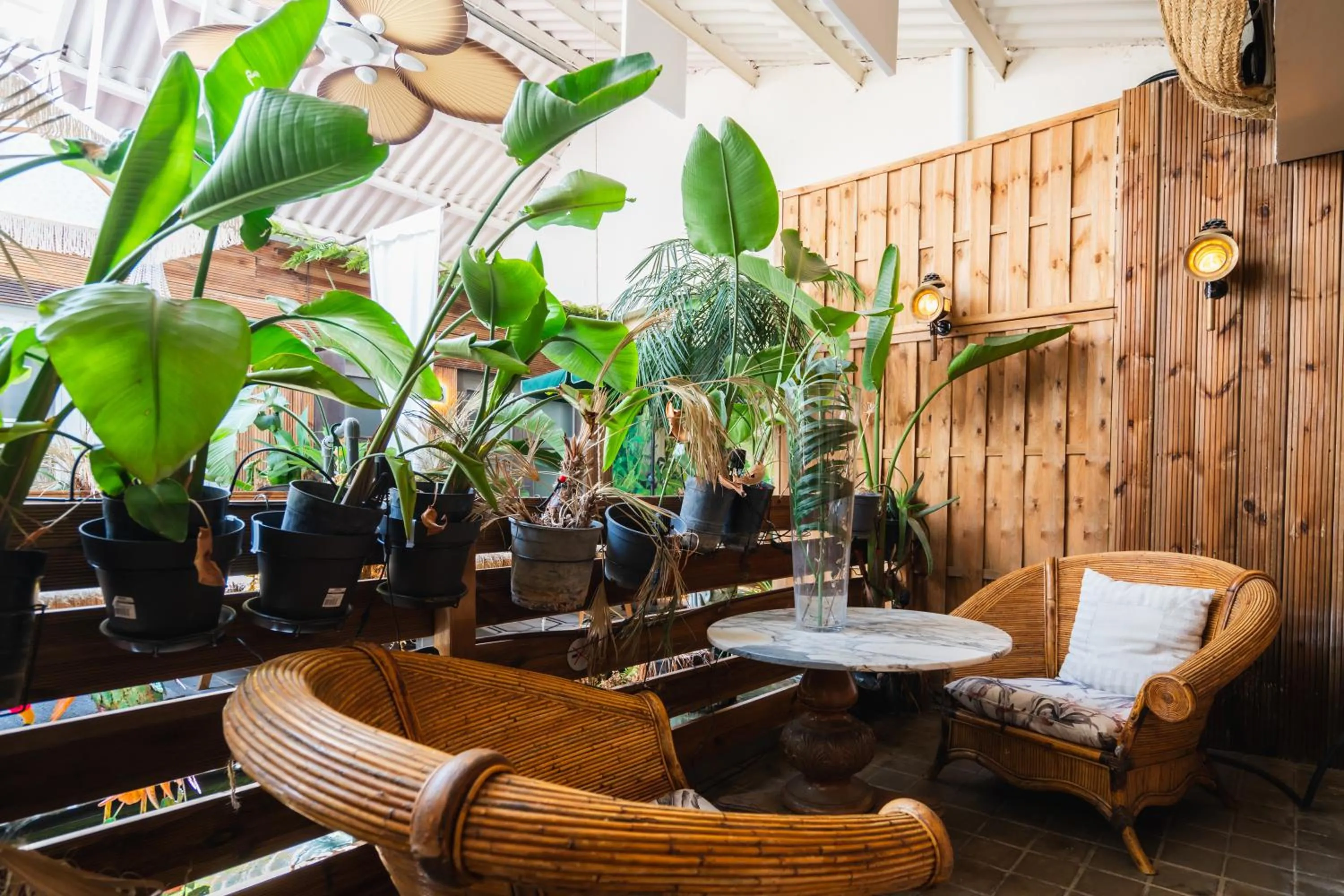 Garden view in Abalú Collection Life Gran Via