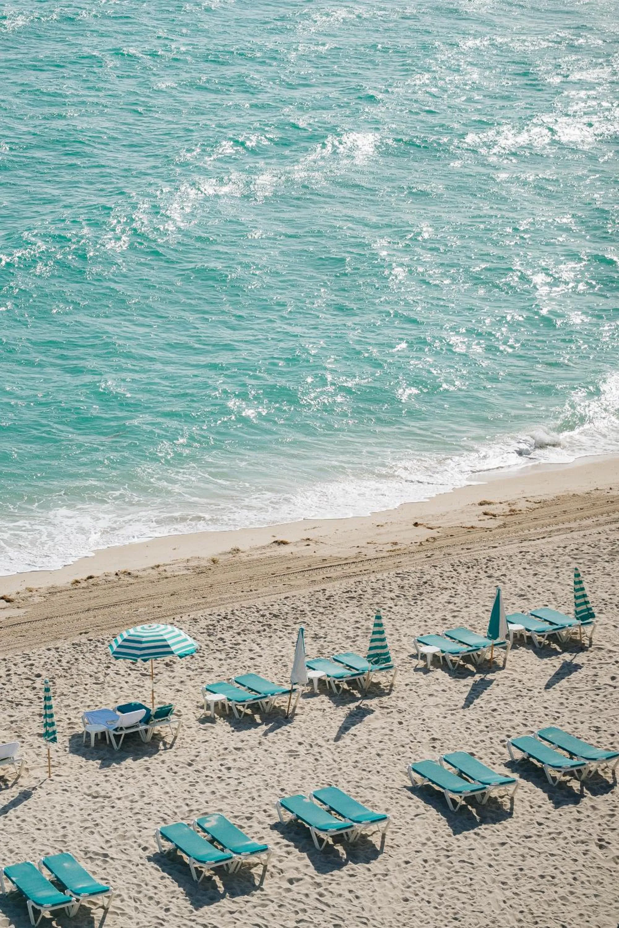 Beach in Carillon Miami Wellness Resort