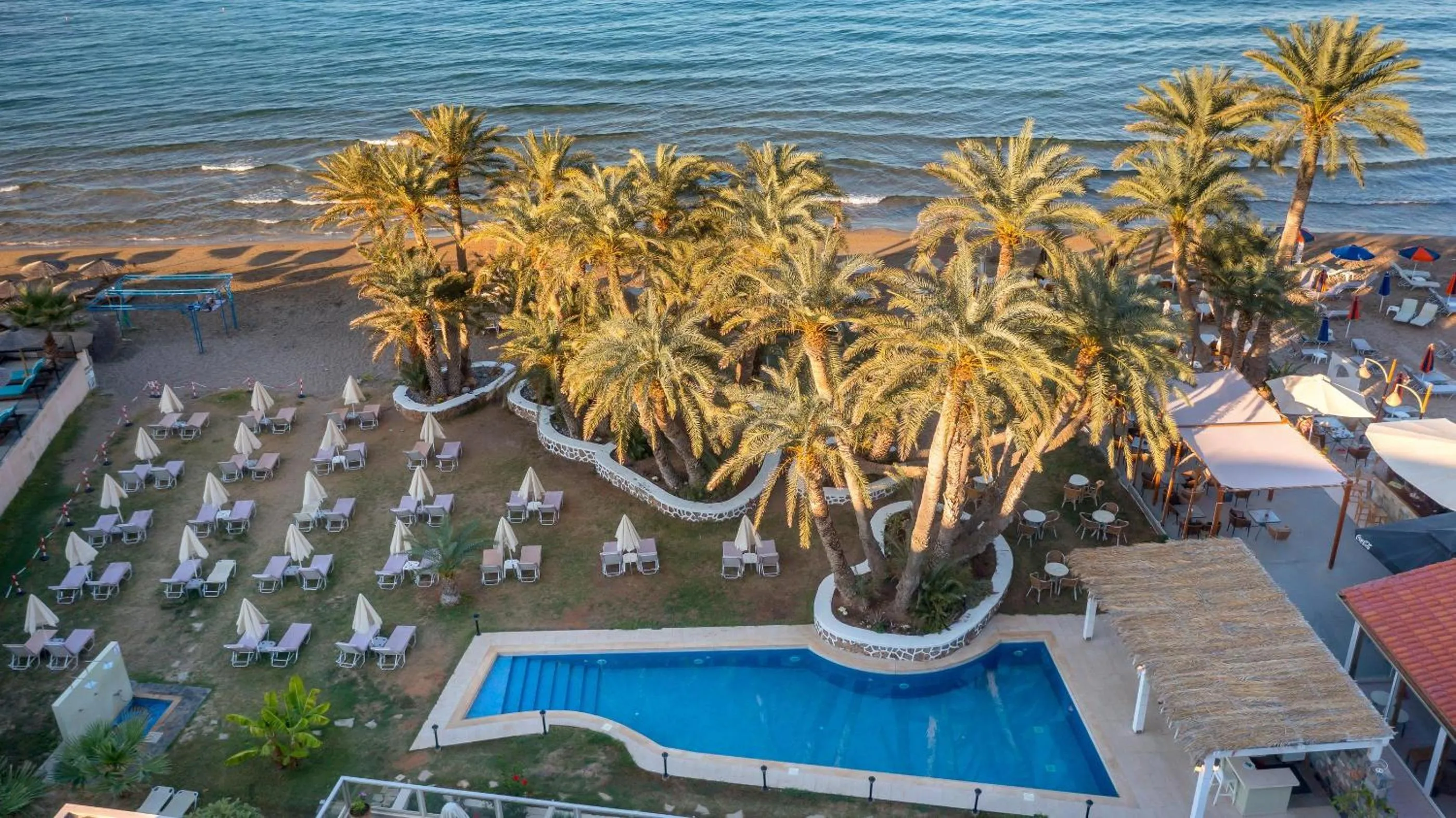 Swimming pool in Zeus Hotels Palm Beach
