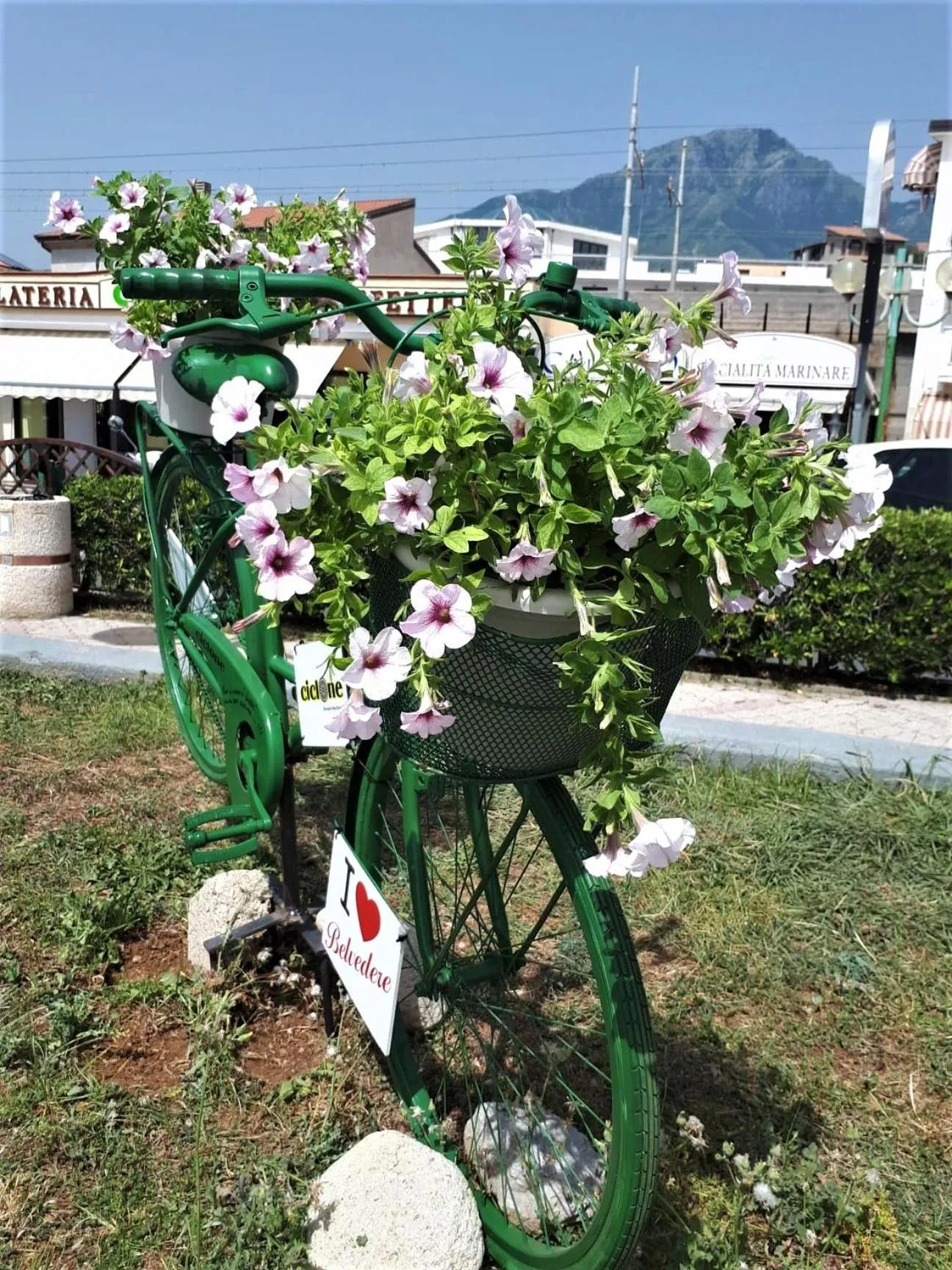 Neighbourhood in La Marinella